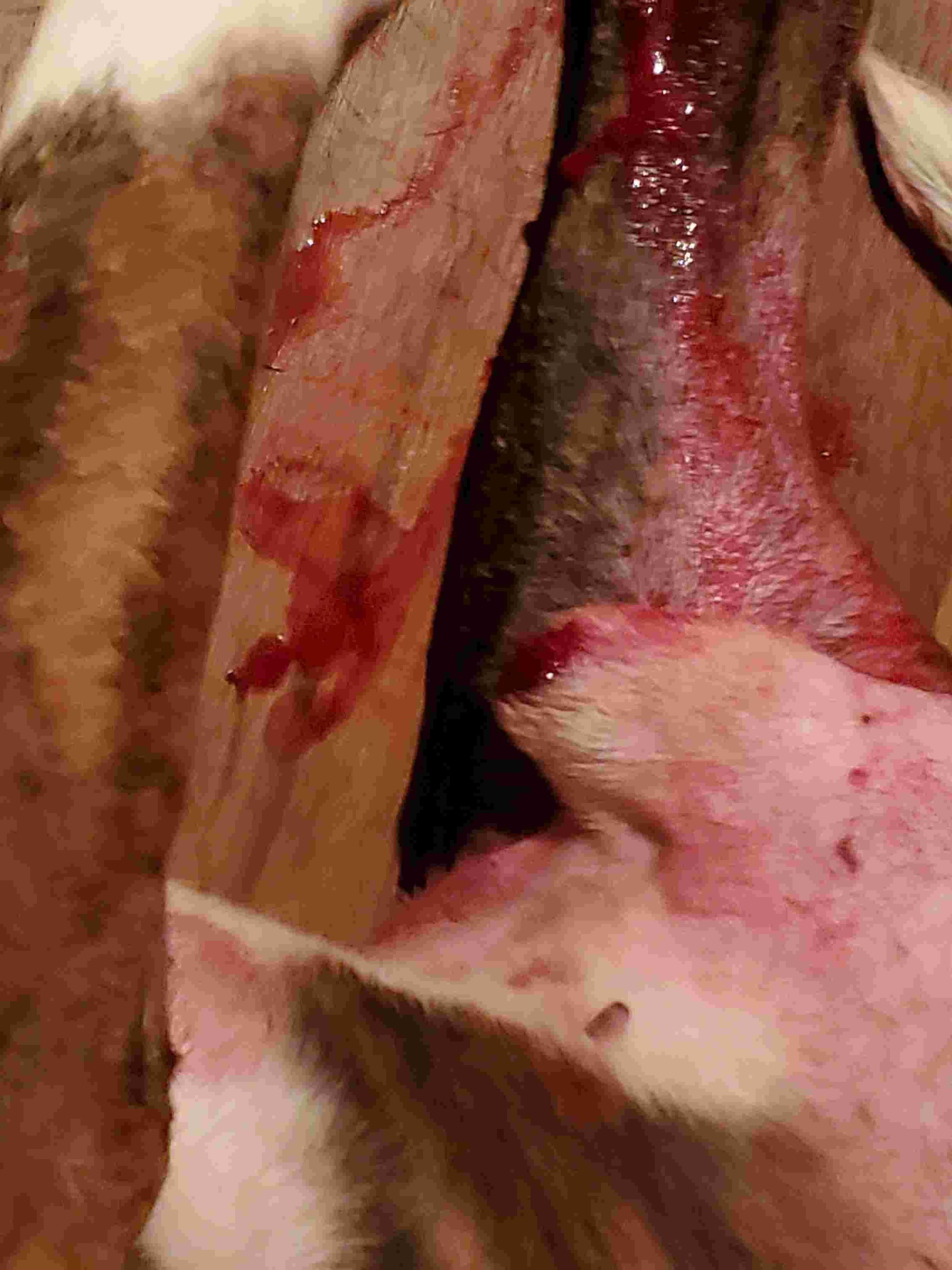 Question details sensitive content