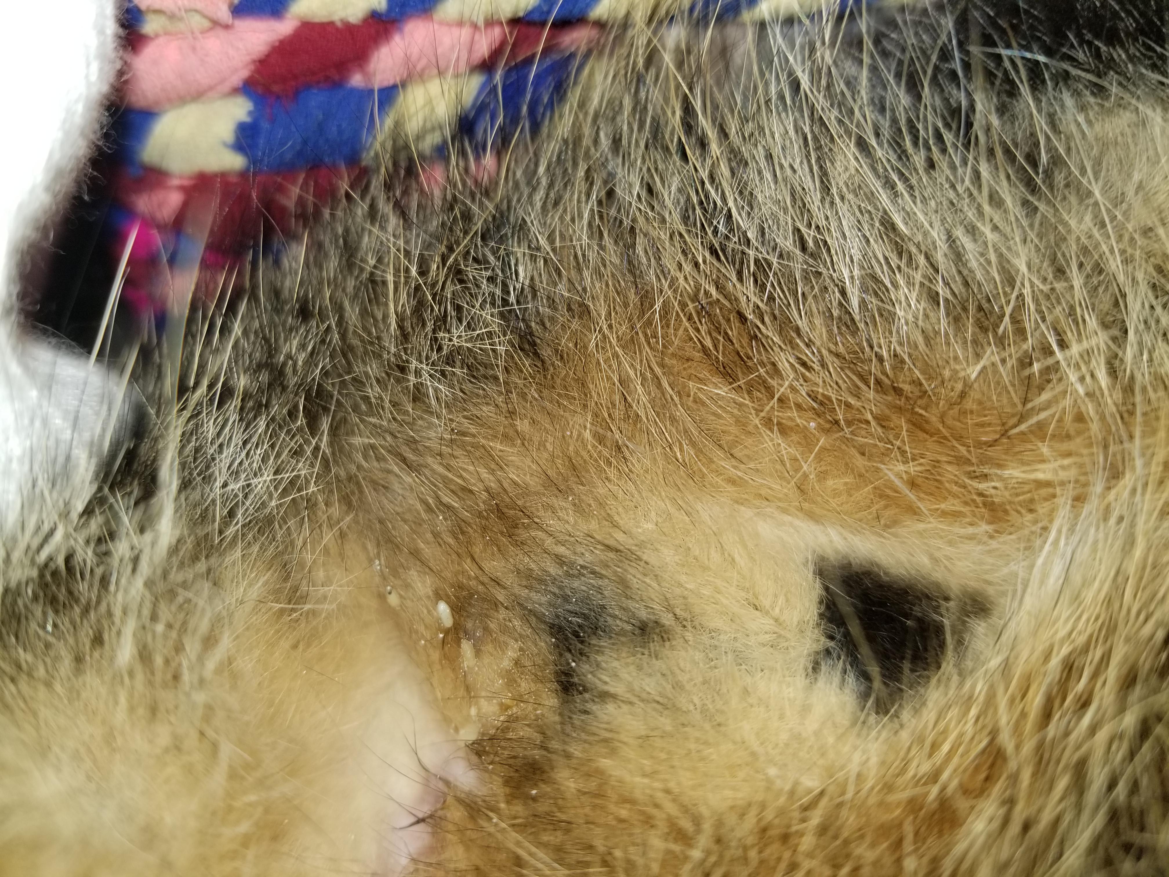 Question details sensitive content