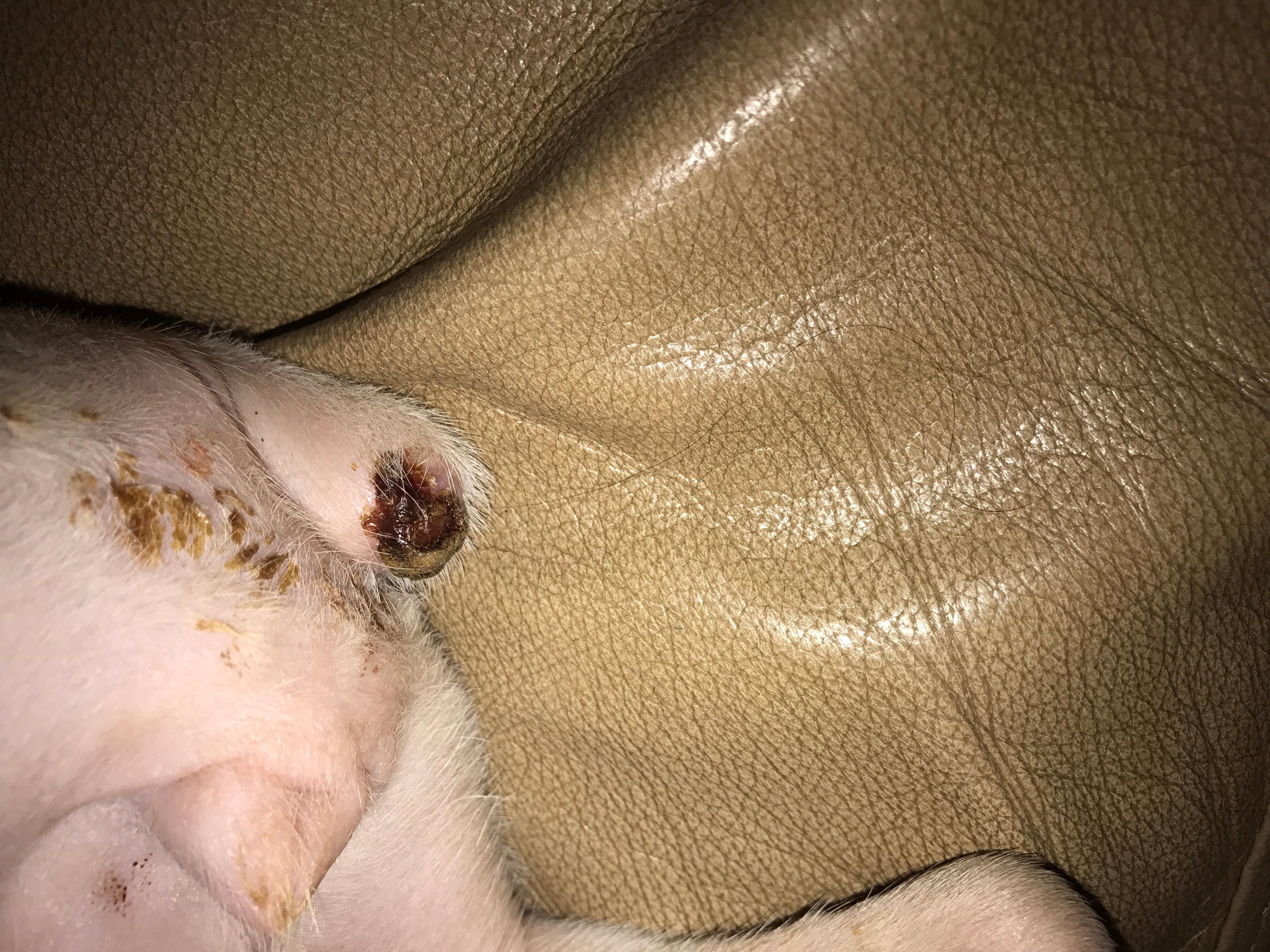 Question details sensitive content