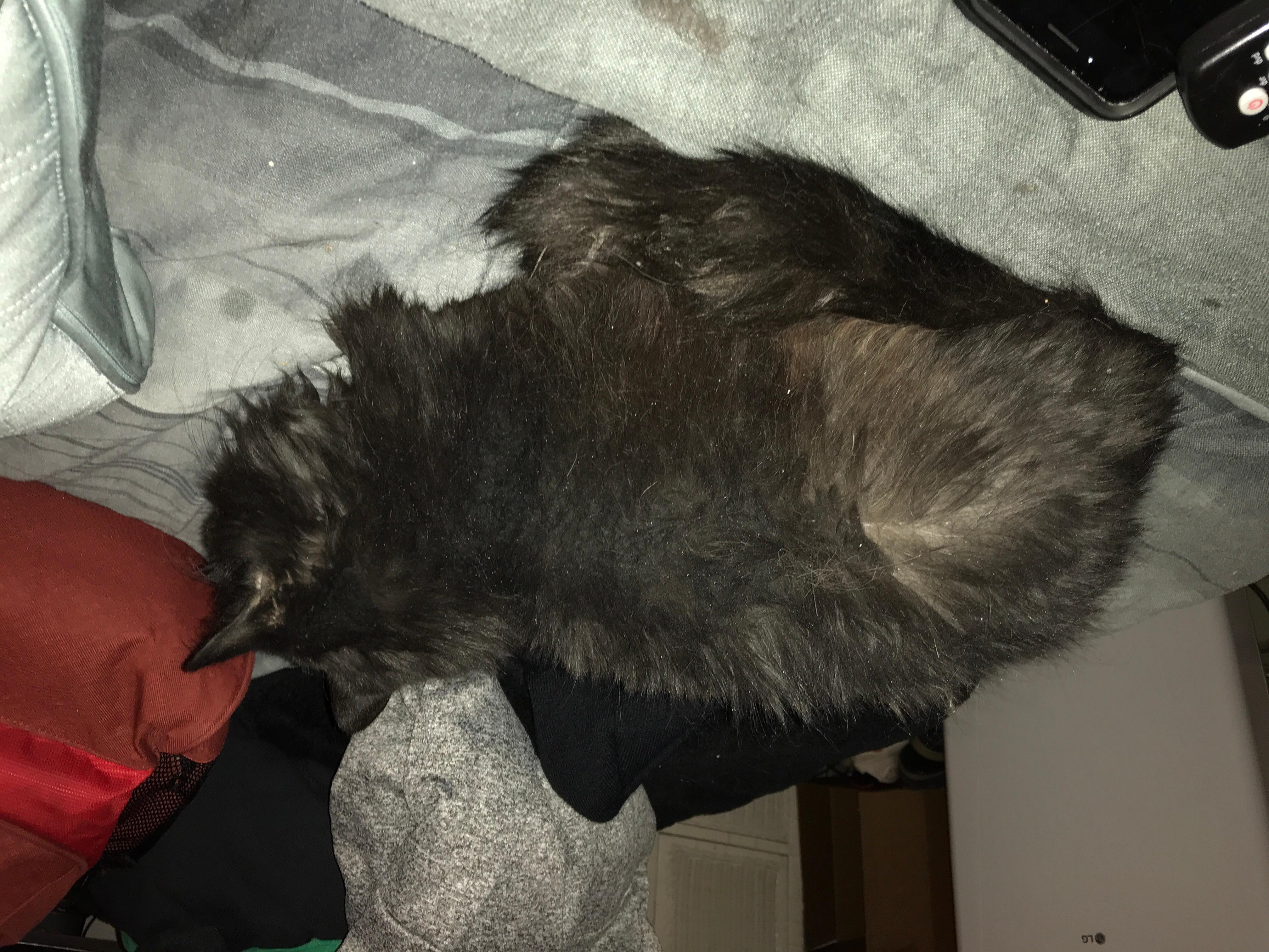 Question details sensitive content