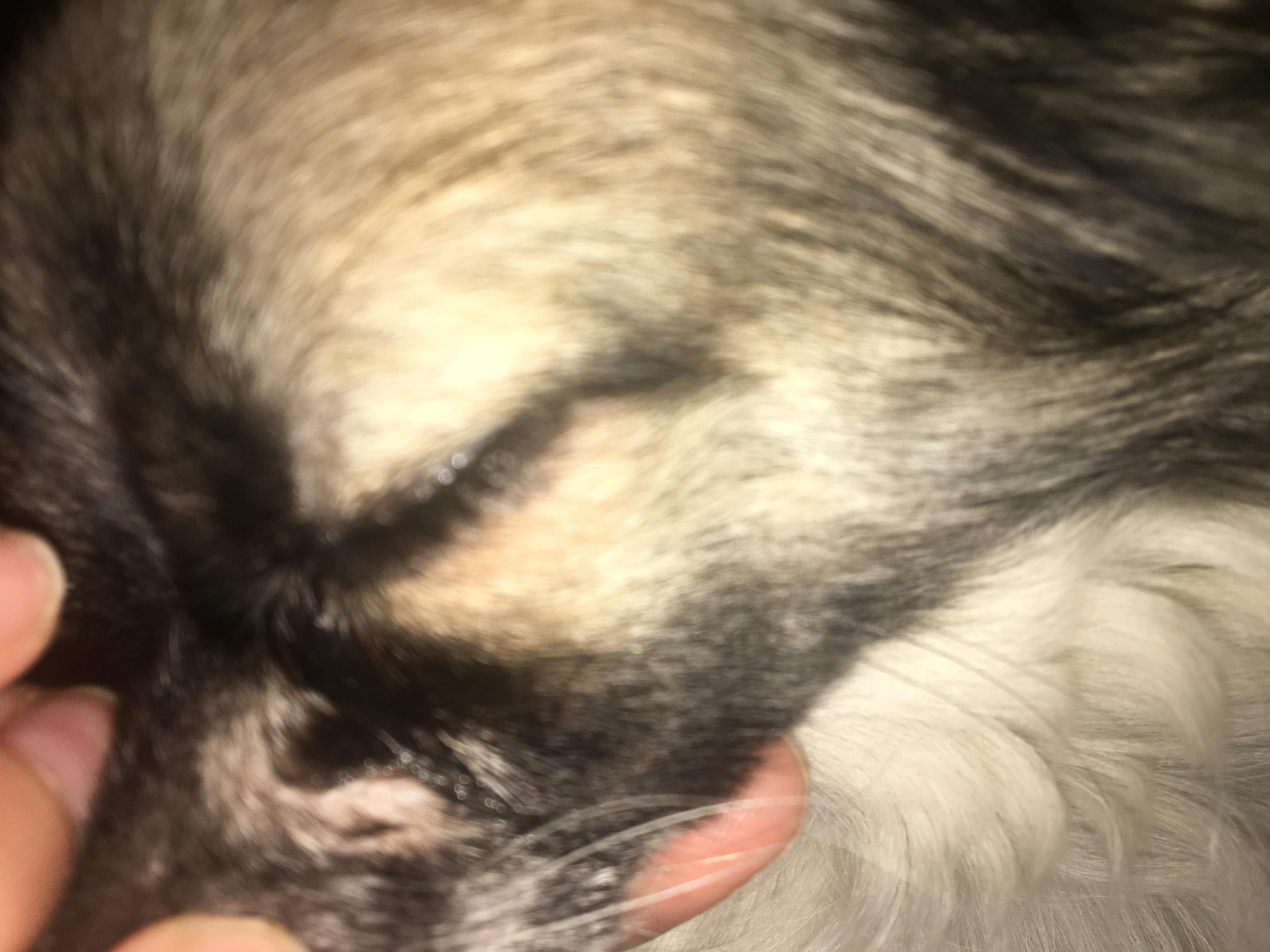 Question details sensitive content