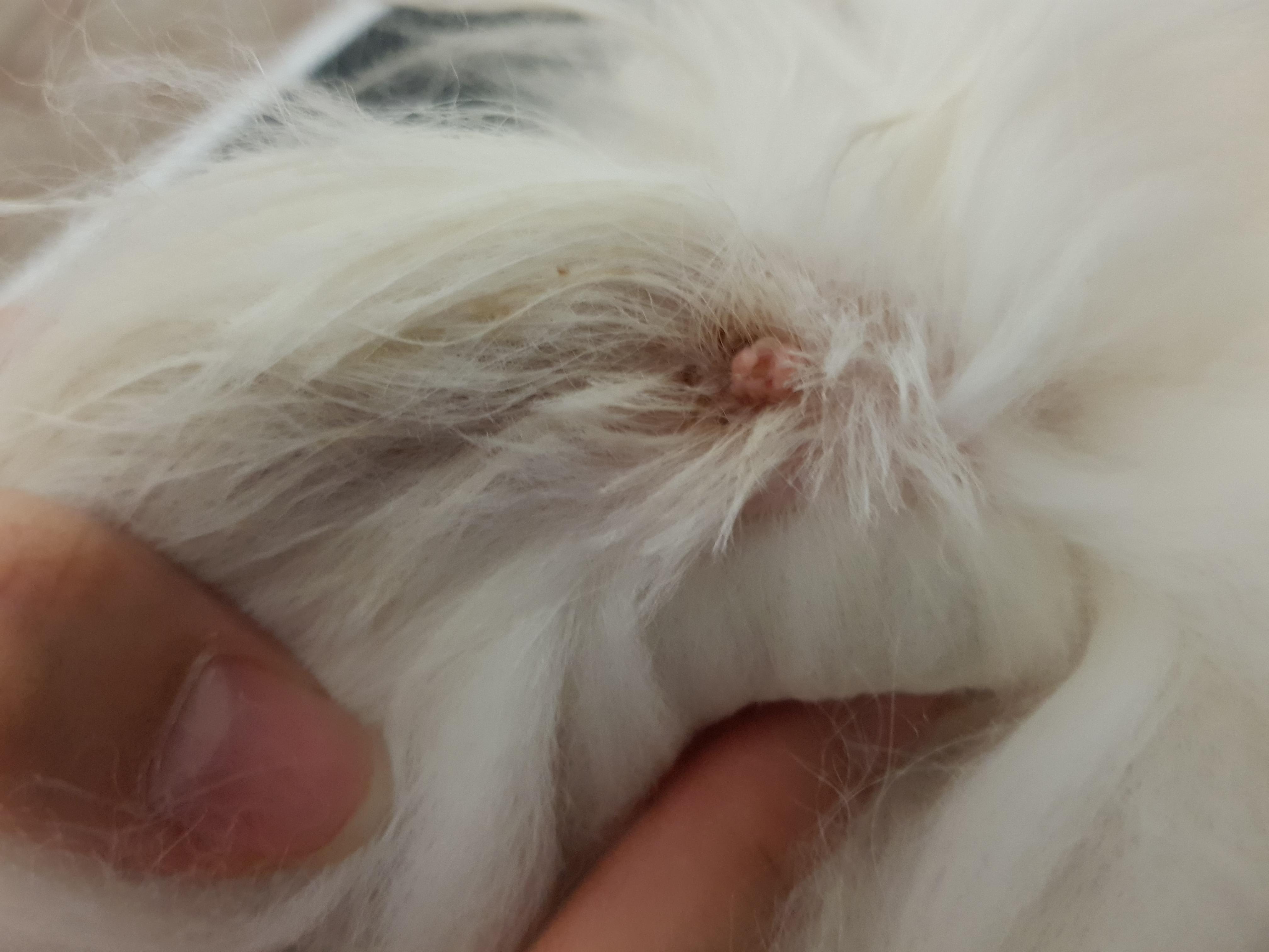 Question details sensitive content