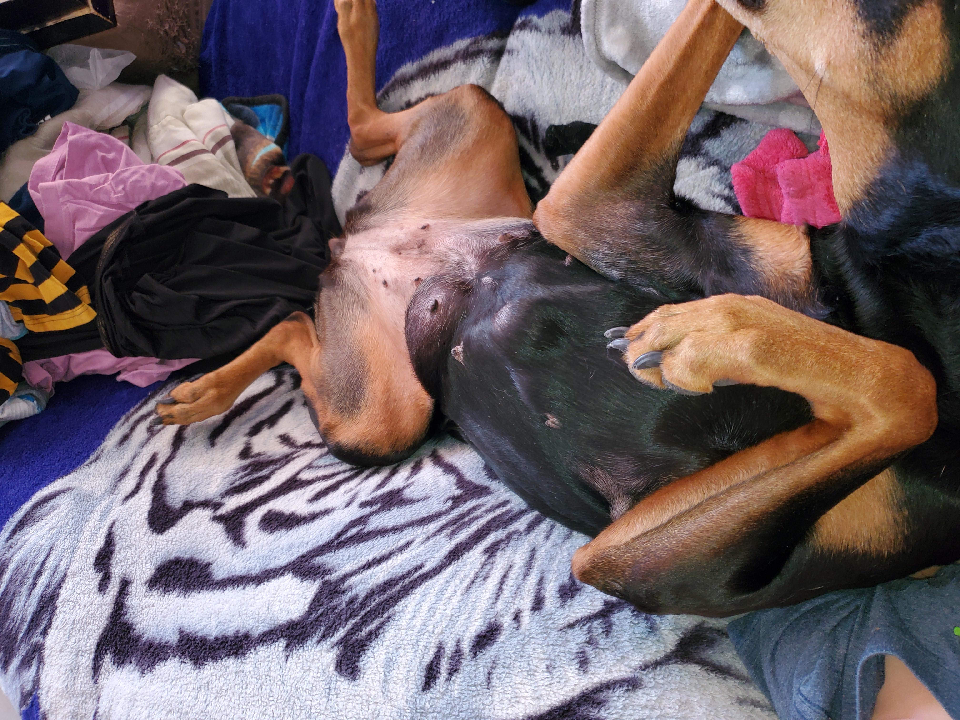 Question details sensitive content