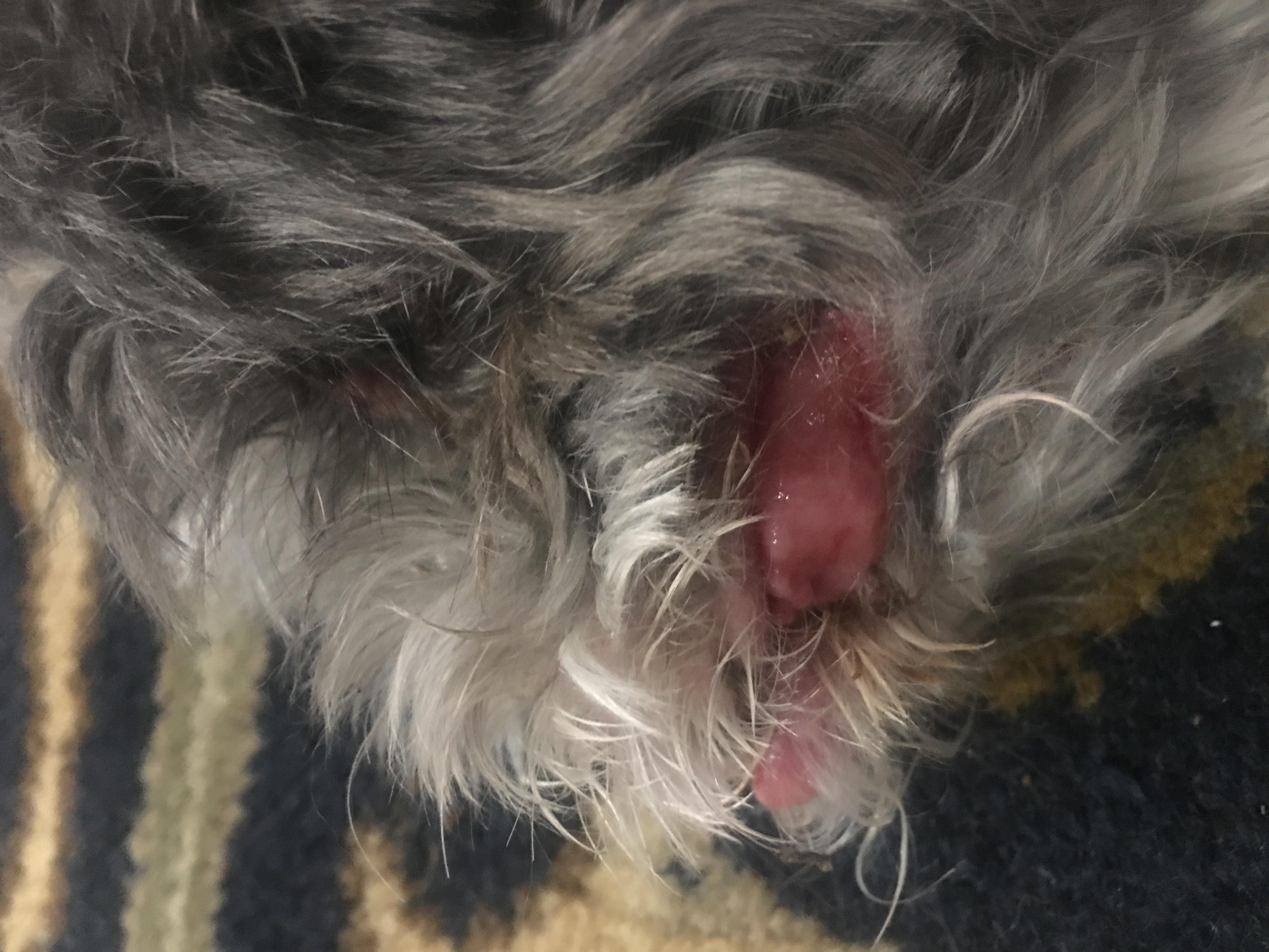 Question details sensitive content