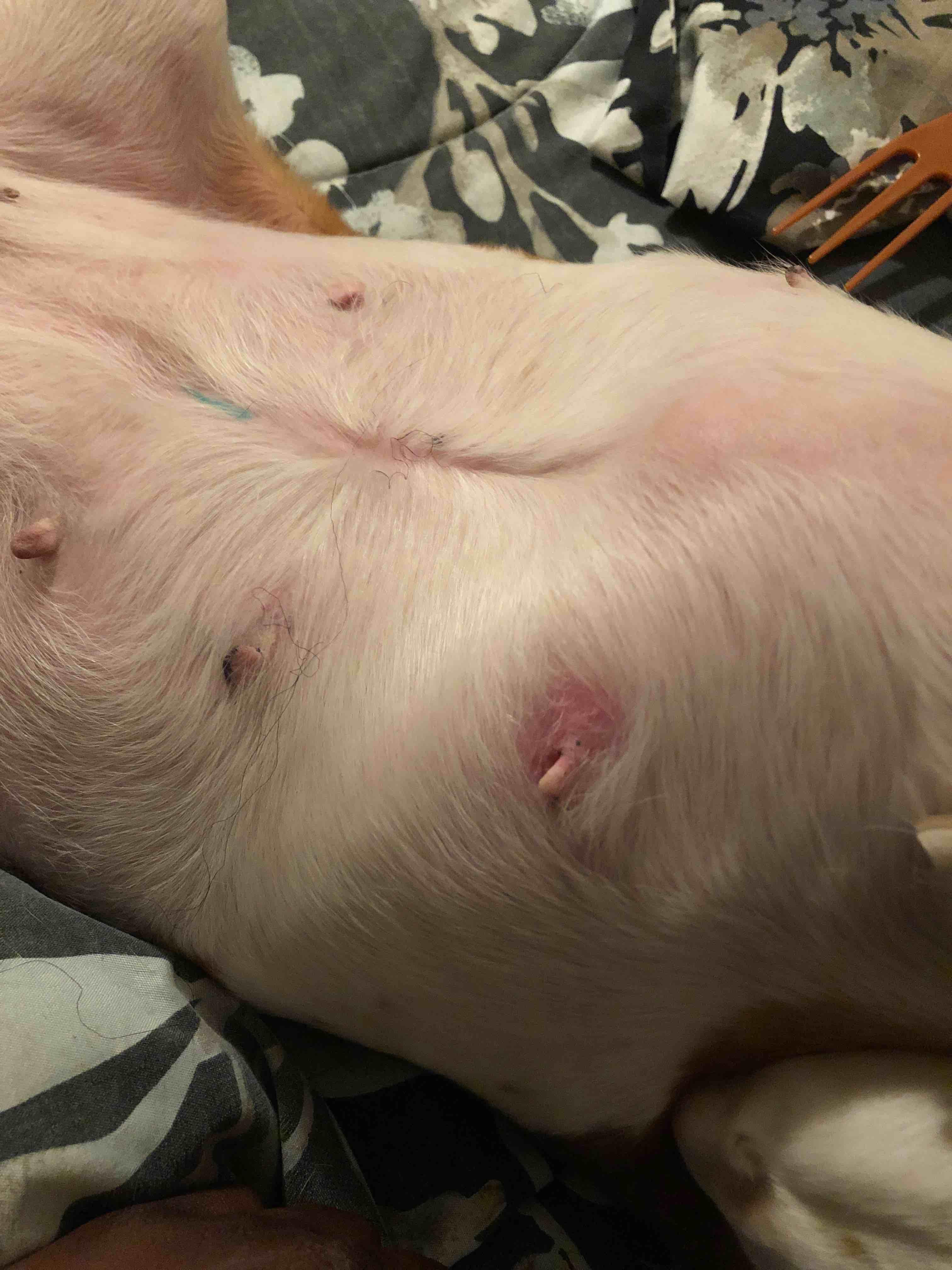 Question details sensitive content