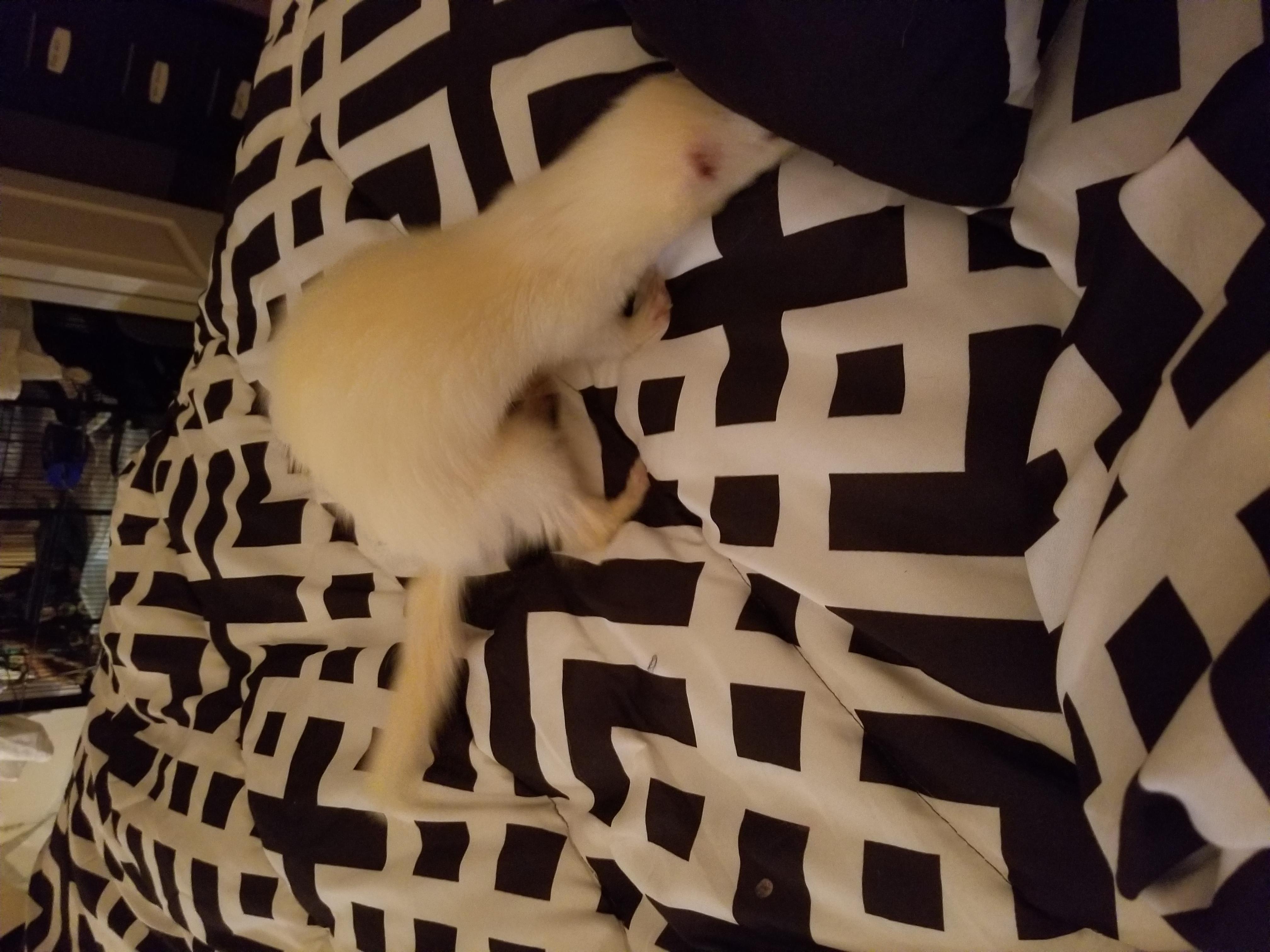 Question details sensitive content