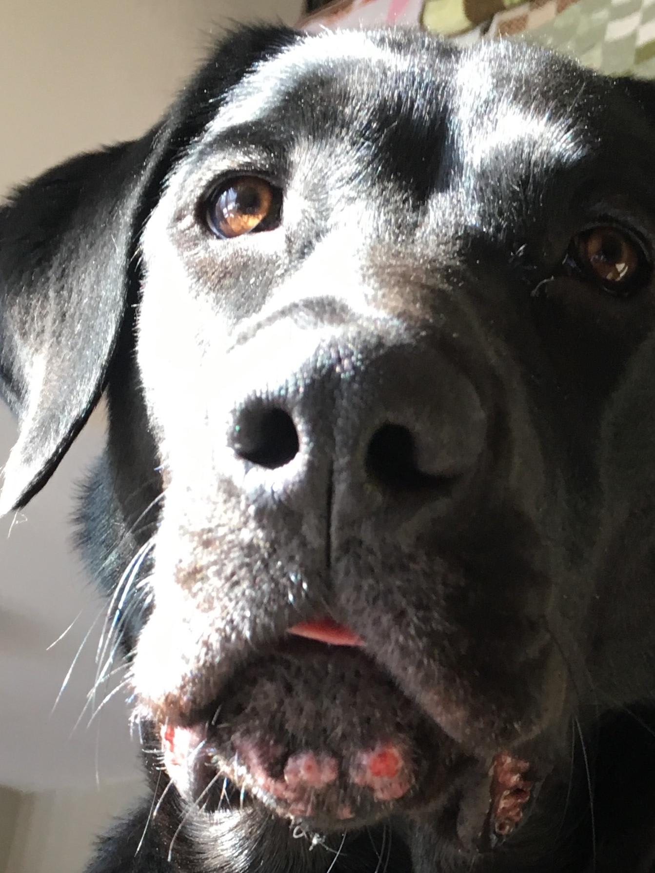 Question details sensitive content