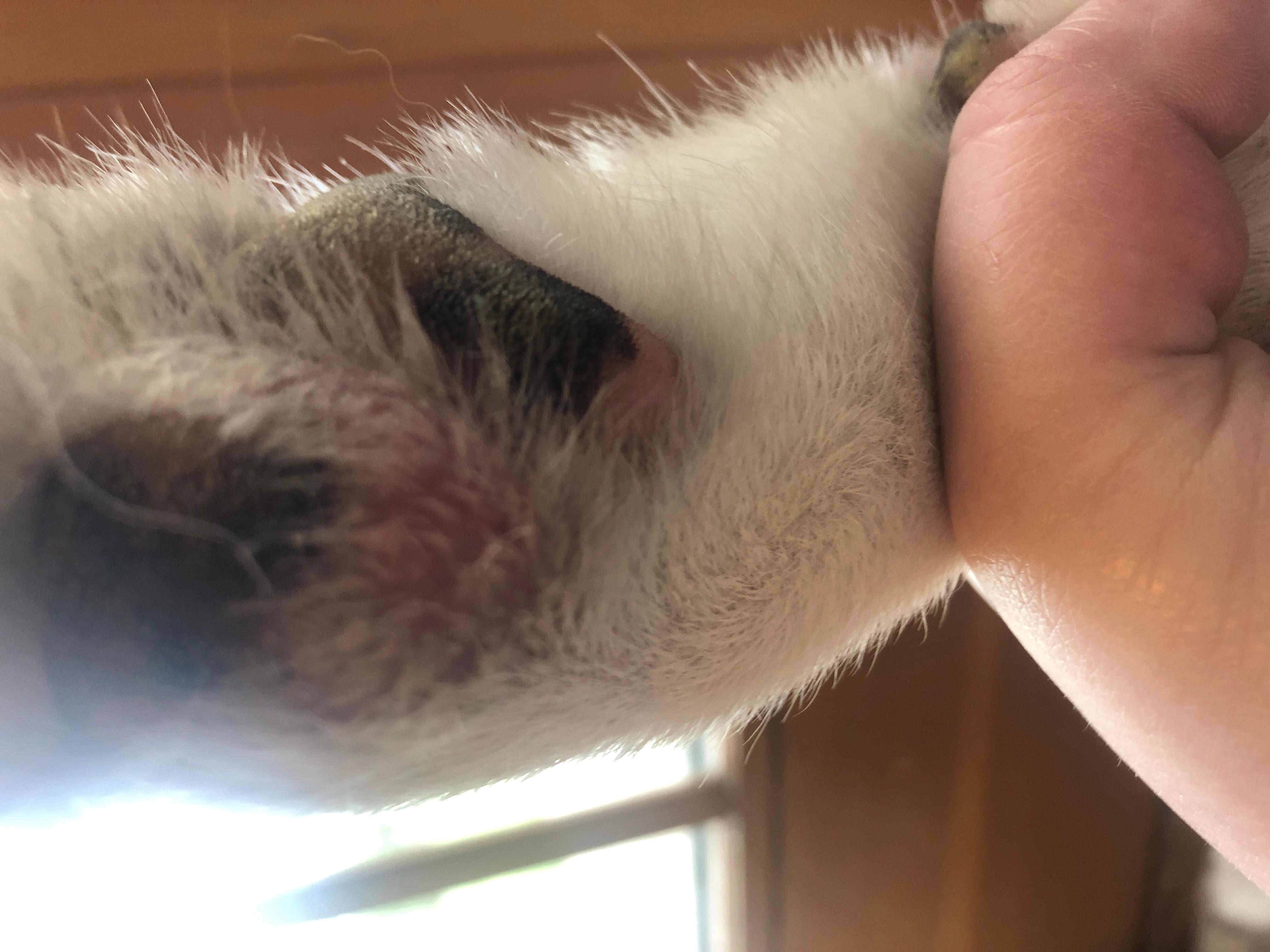 Question details sensitive content