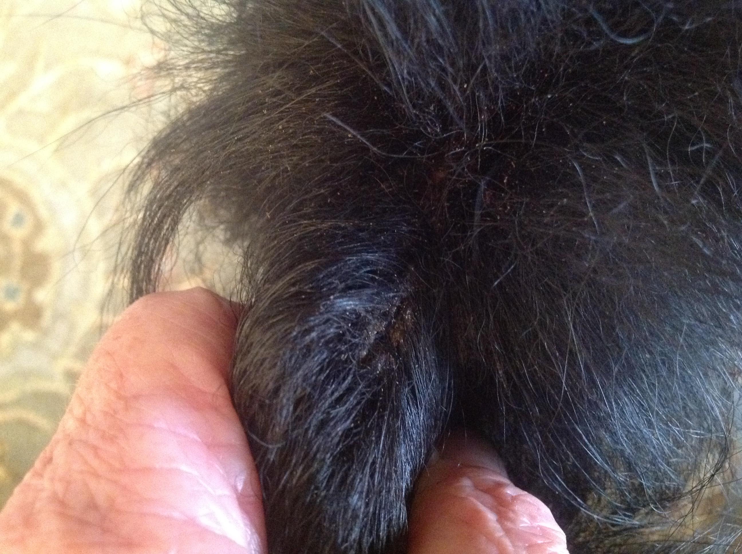 Question details sensitive content