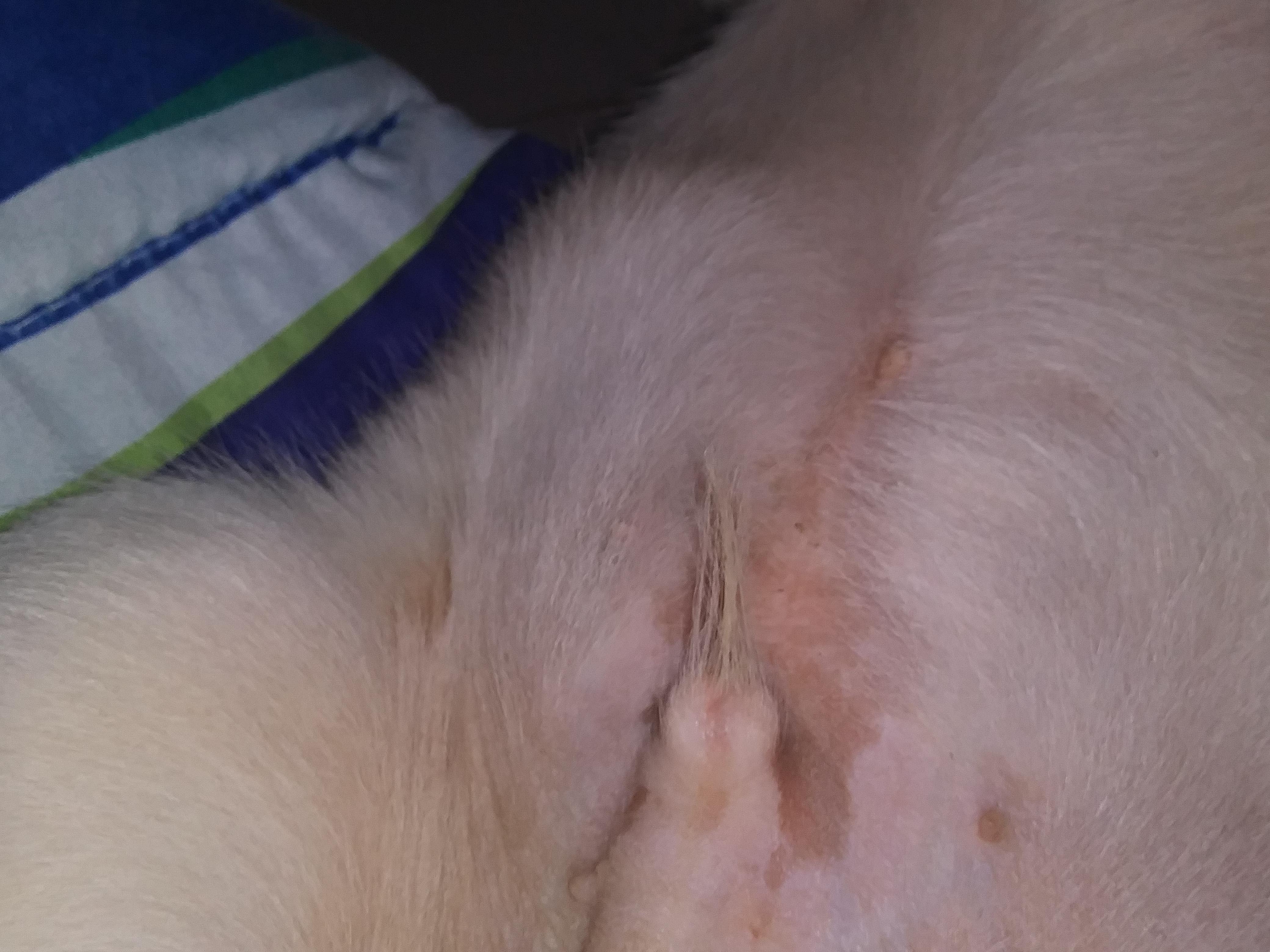 Question details sensitive content