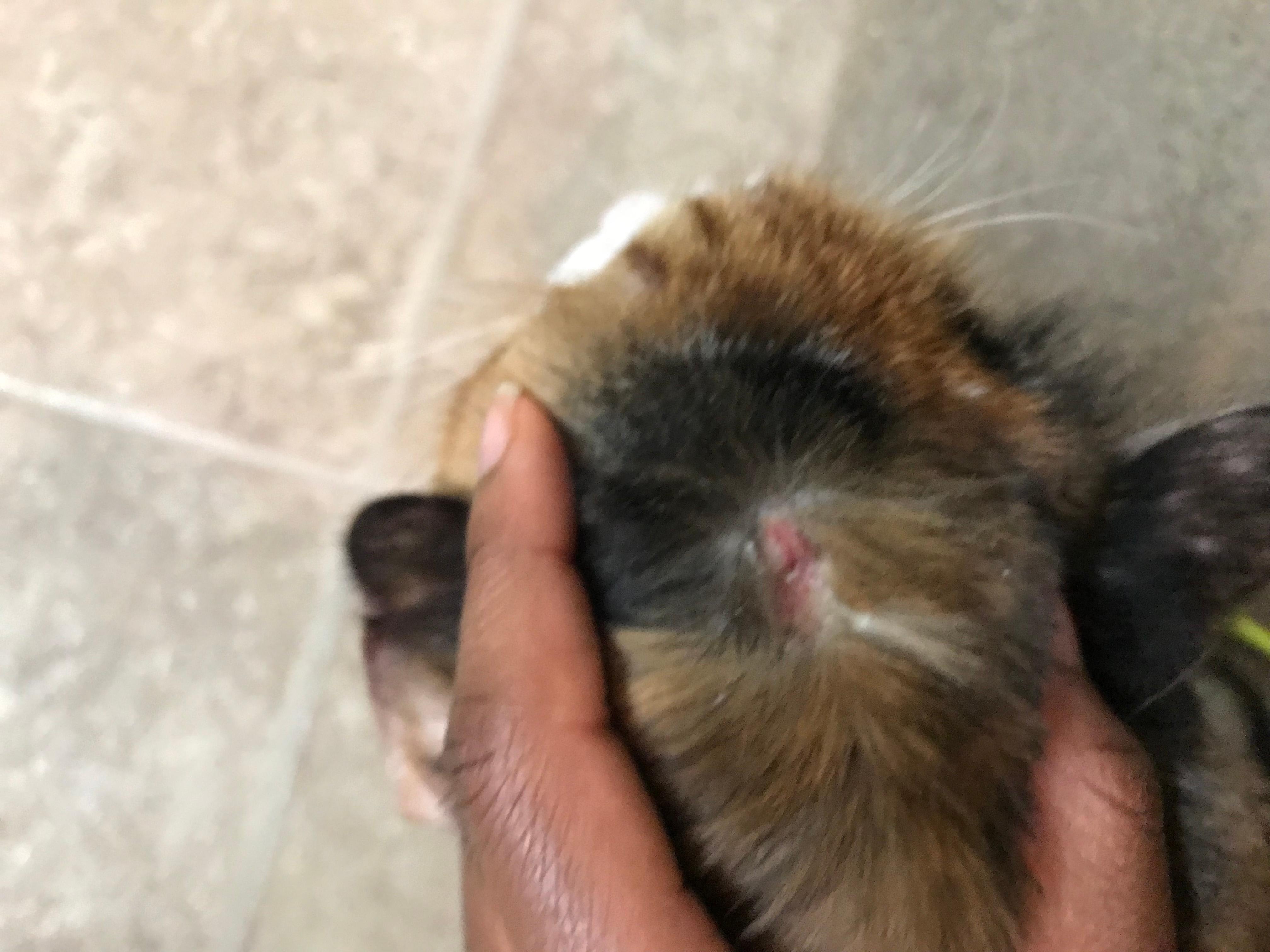 Question details sensitive content