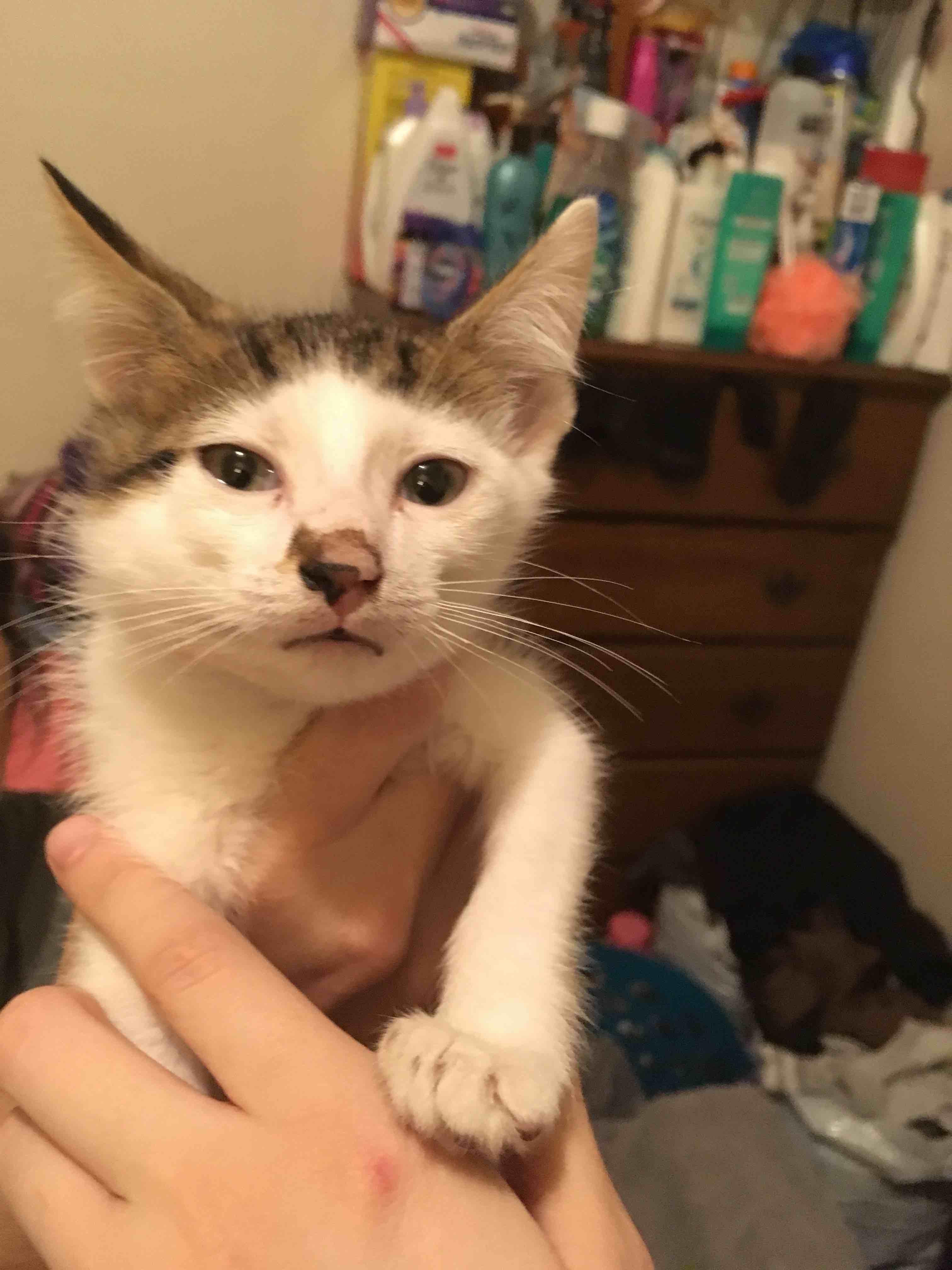 Question details sensitive content