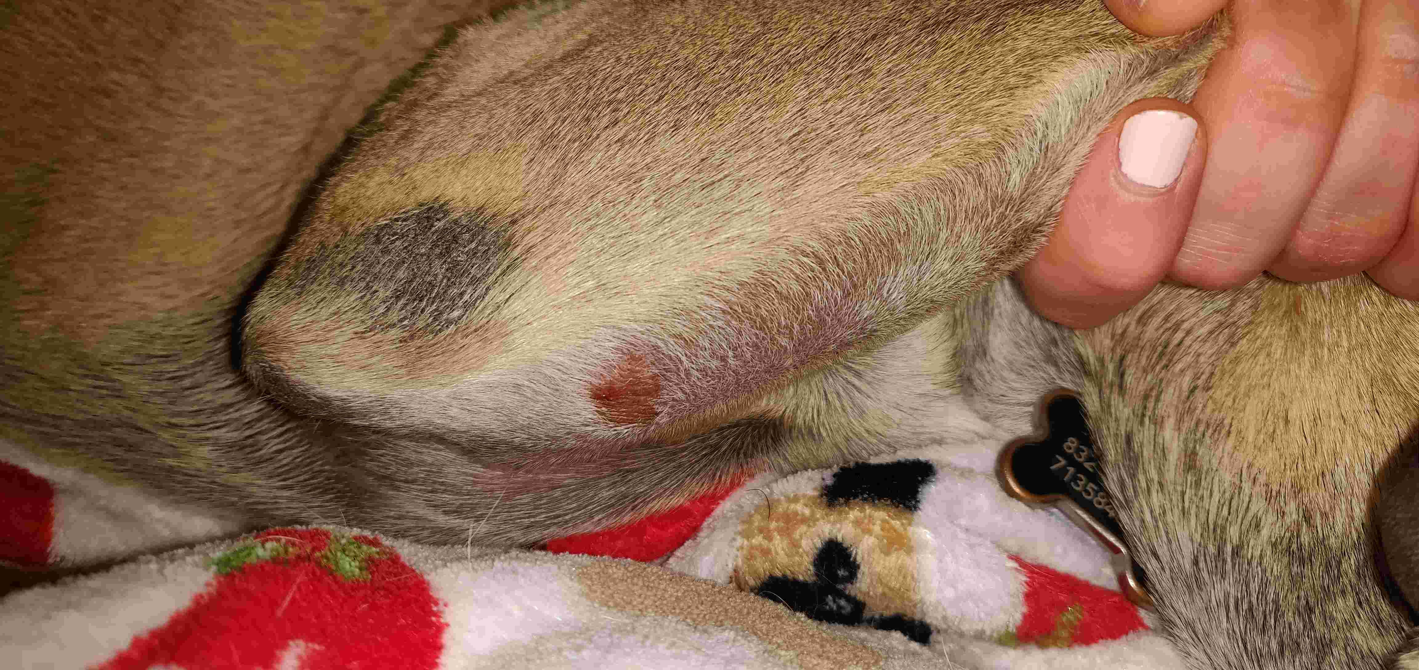 Question details sensitive content