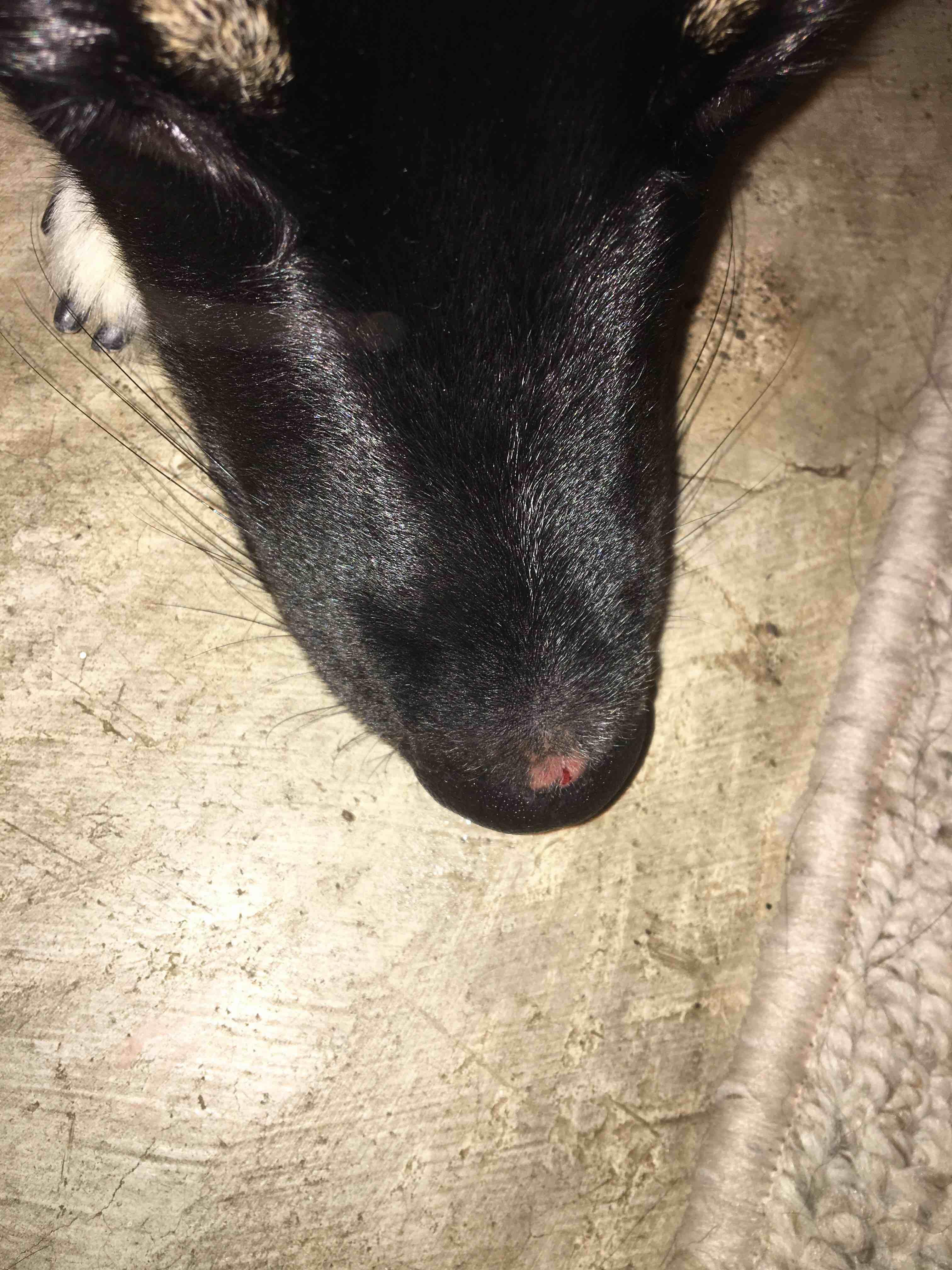 Question details sensitive content