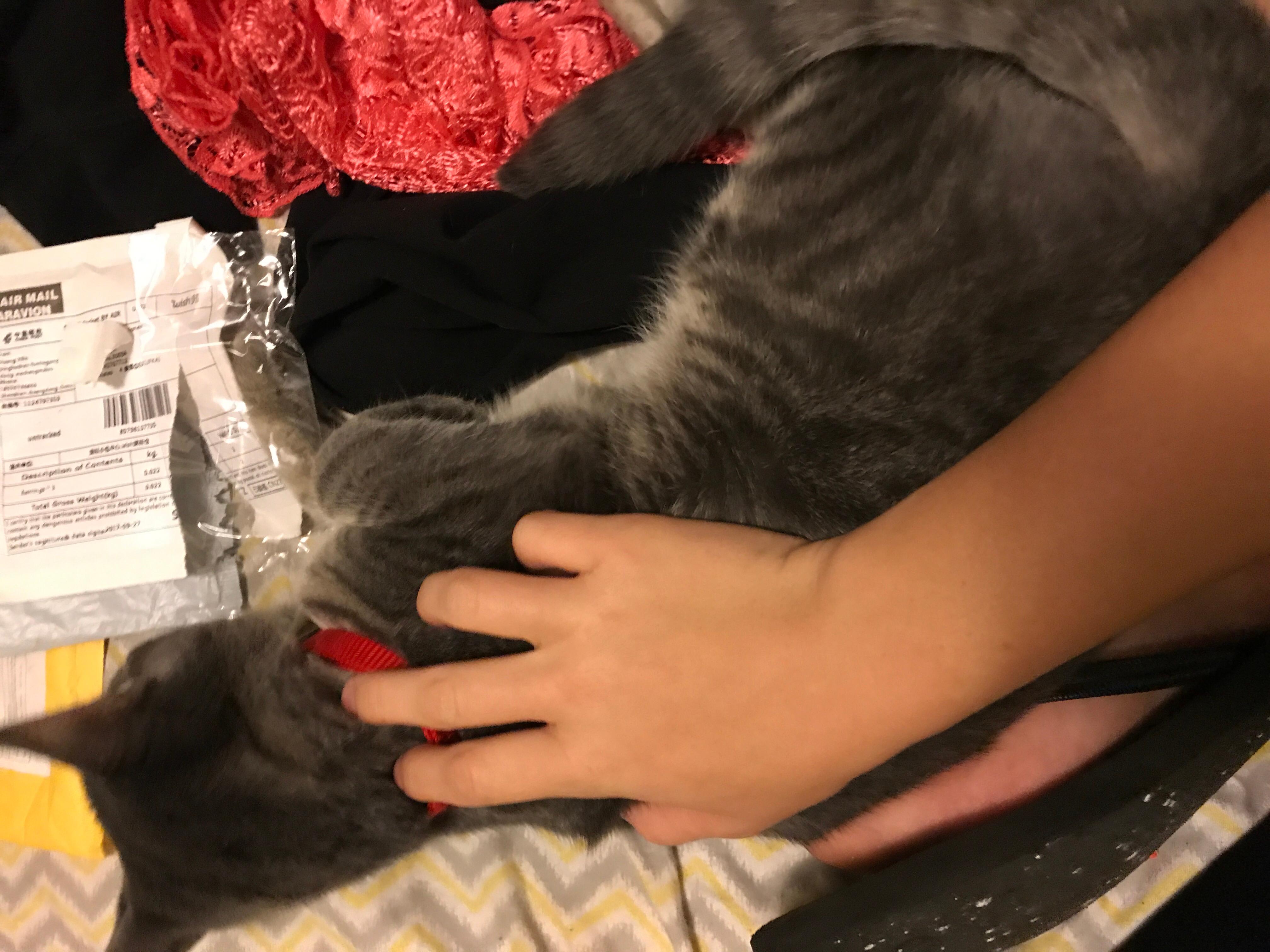 Question details sensitive content