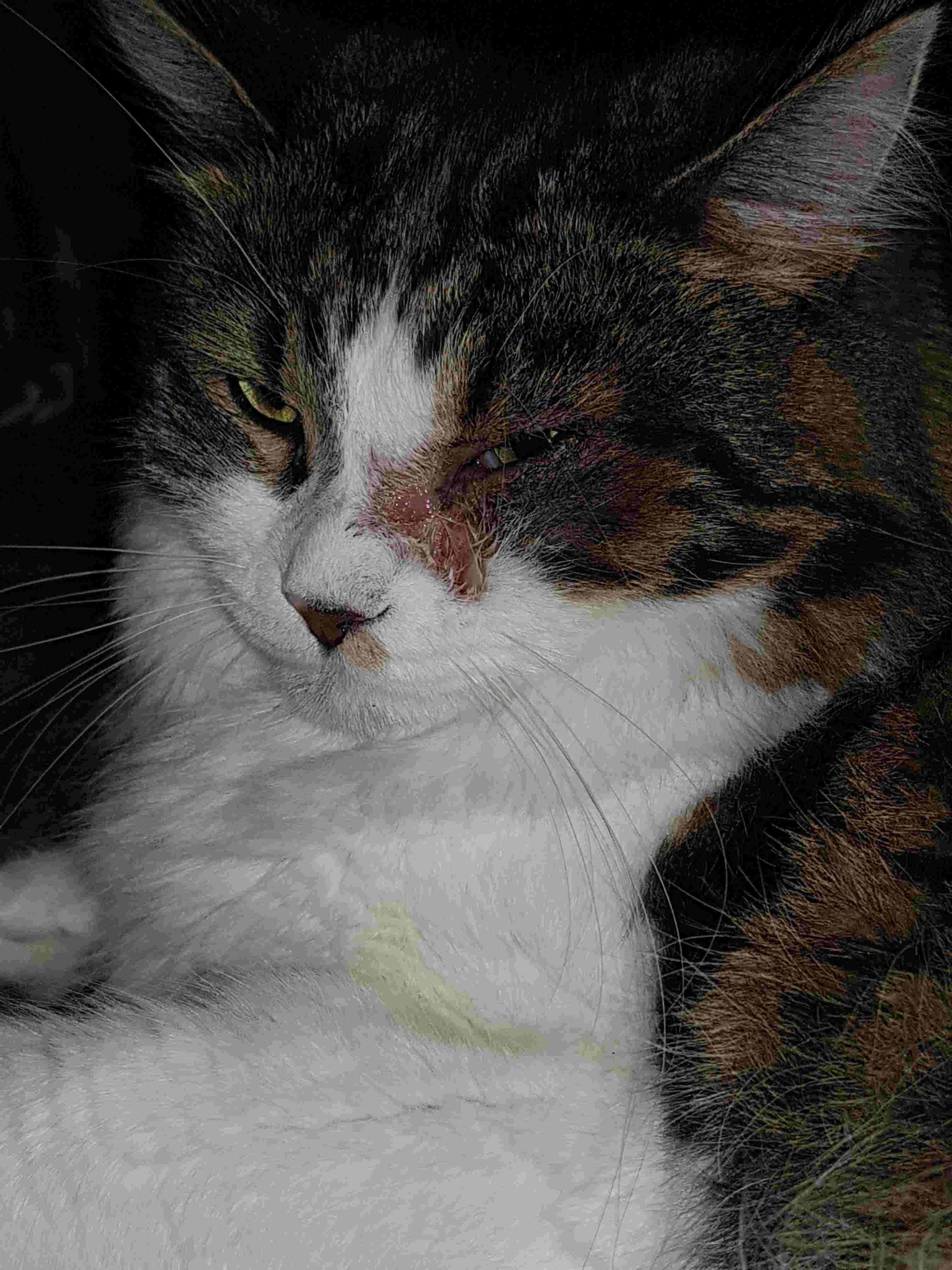 Question details sensitive content