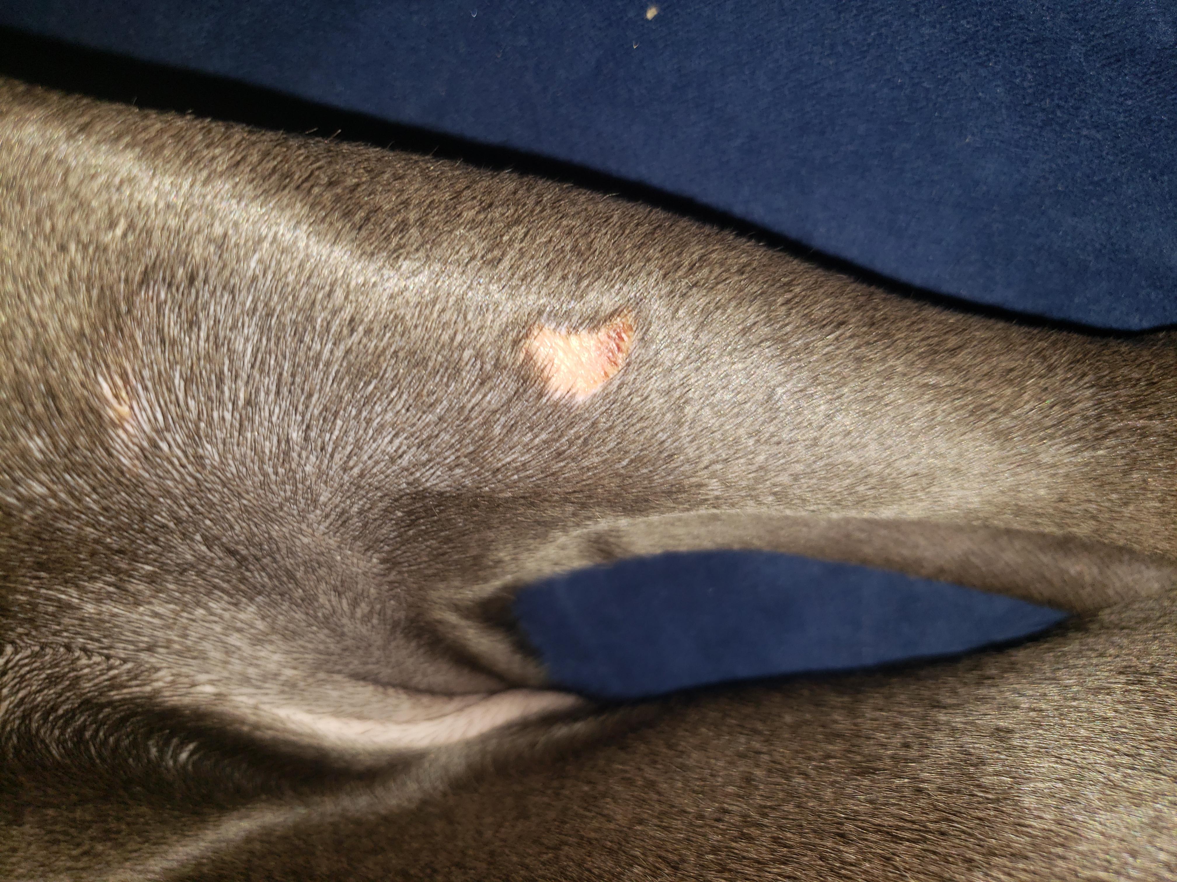 Question details sensitive content