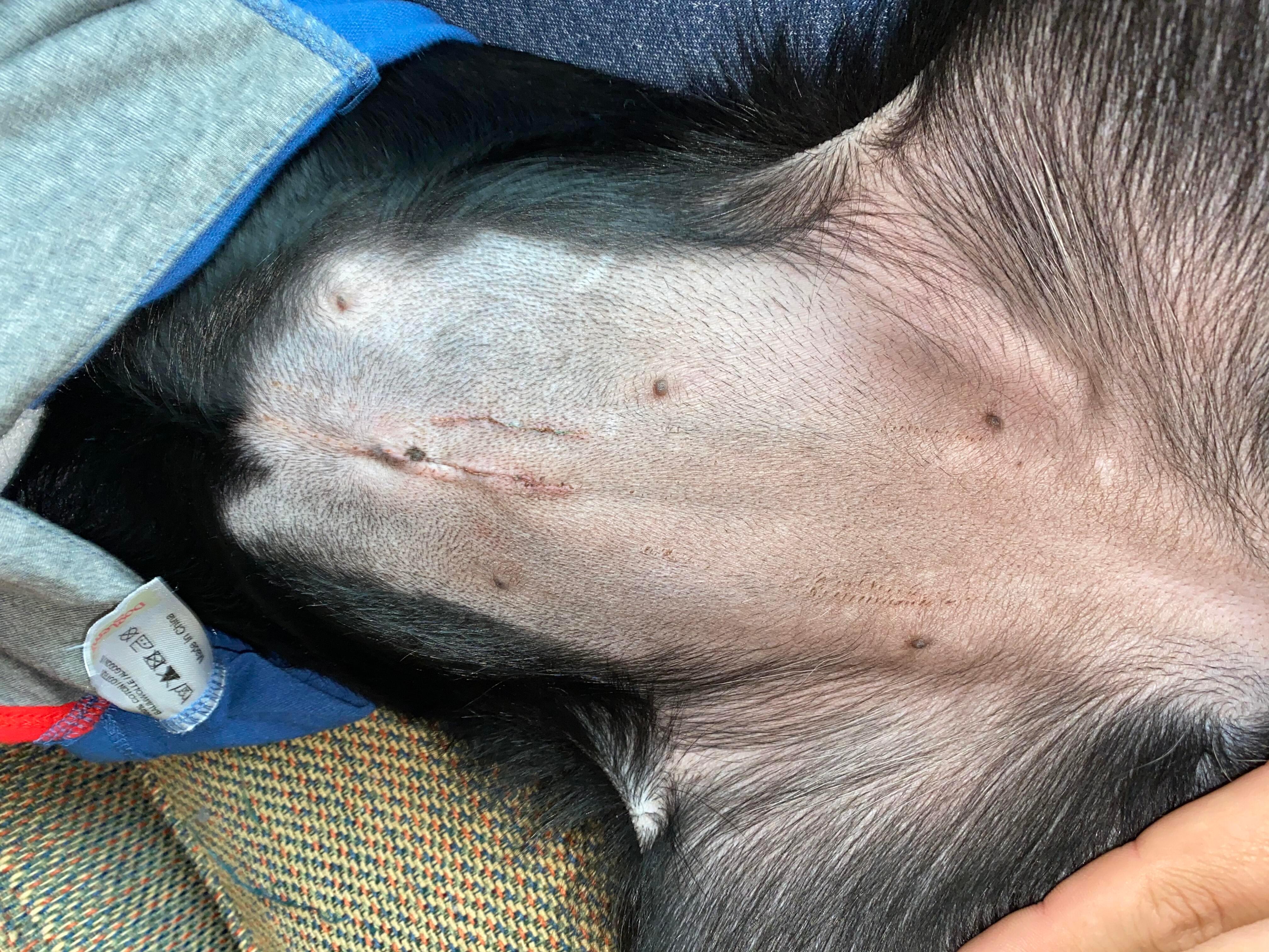 Question details sensitive content