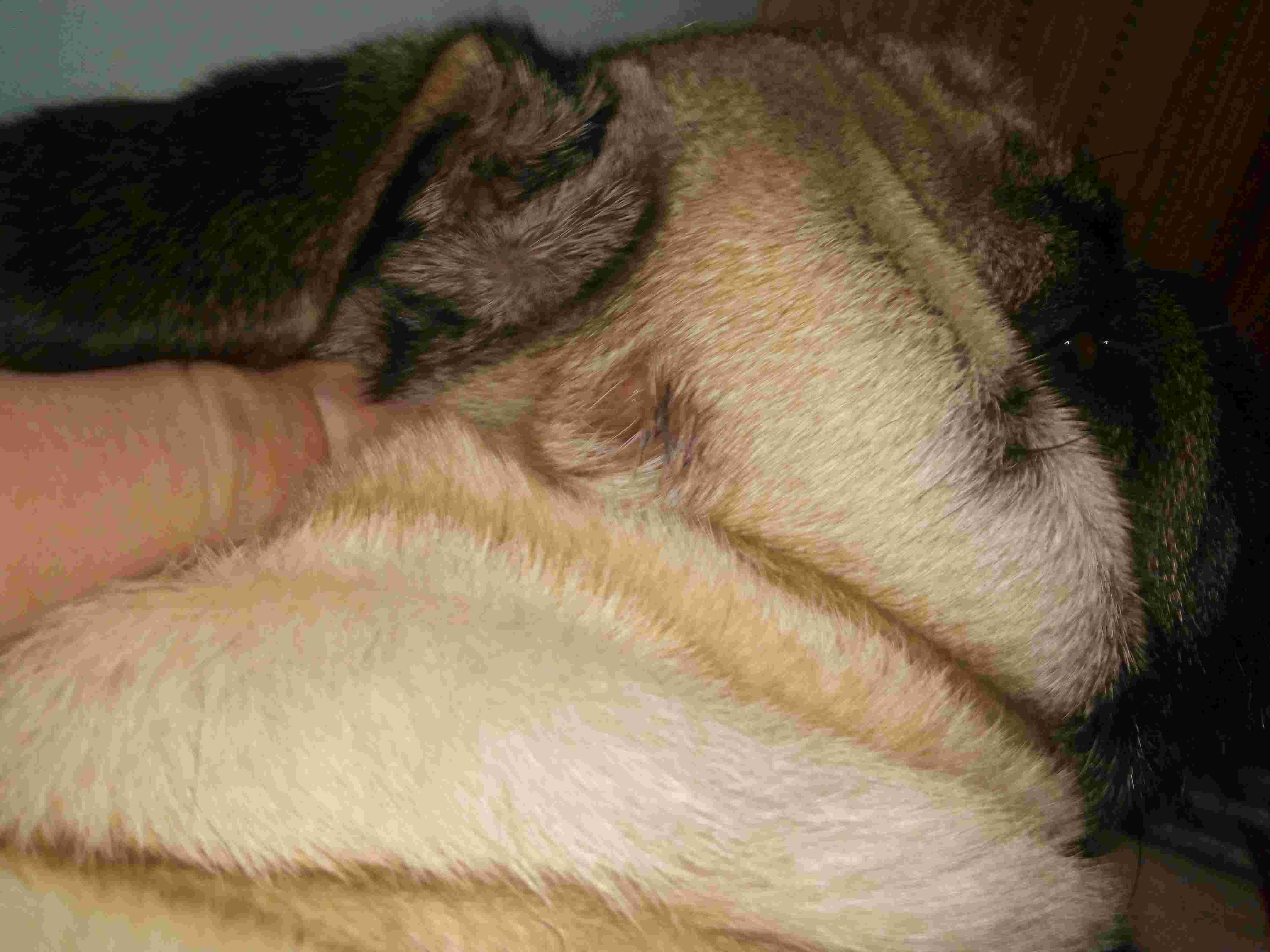 Question details sensitive content