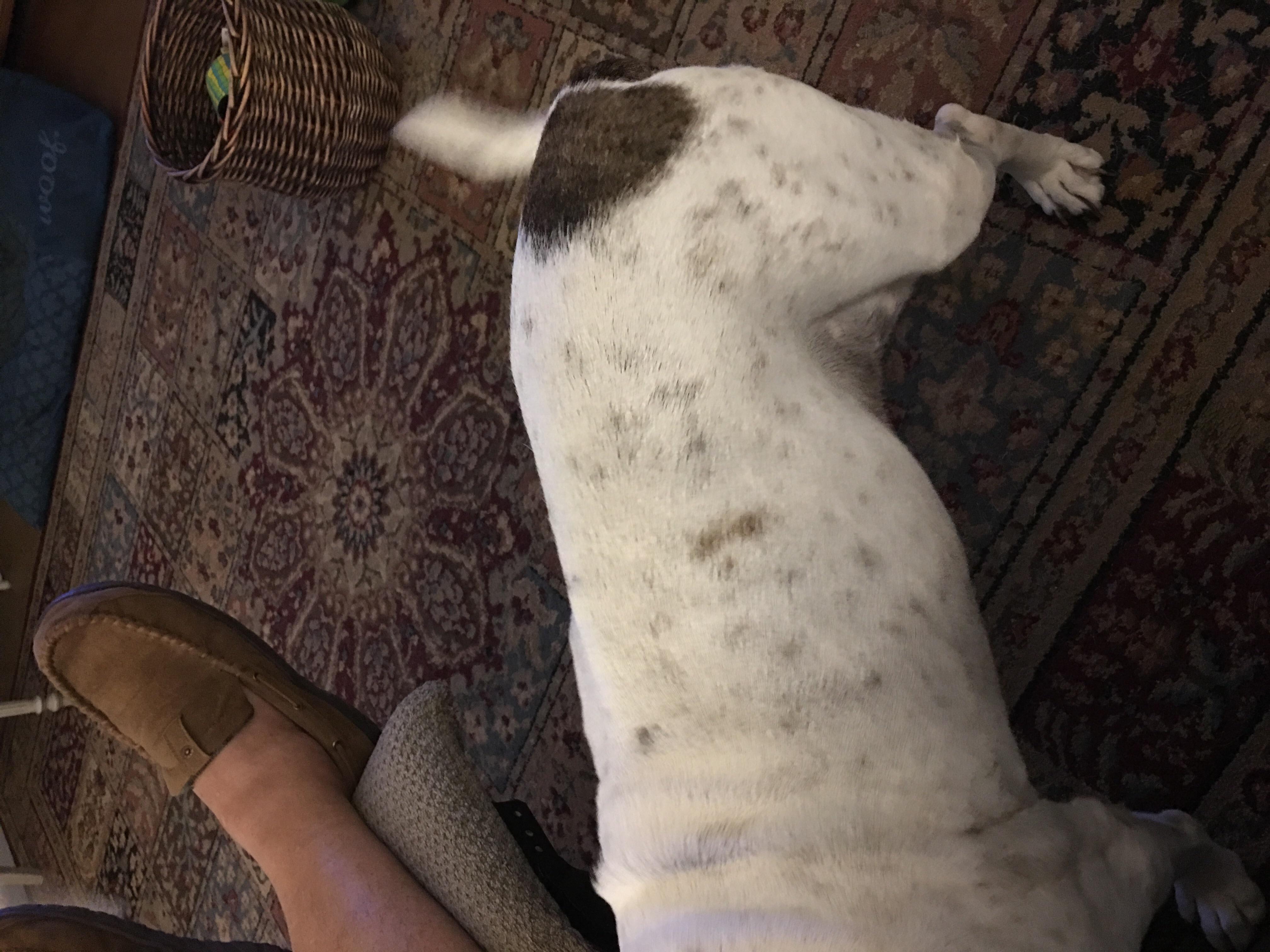 Question details sensitive content