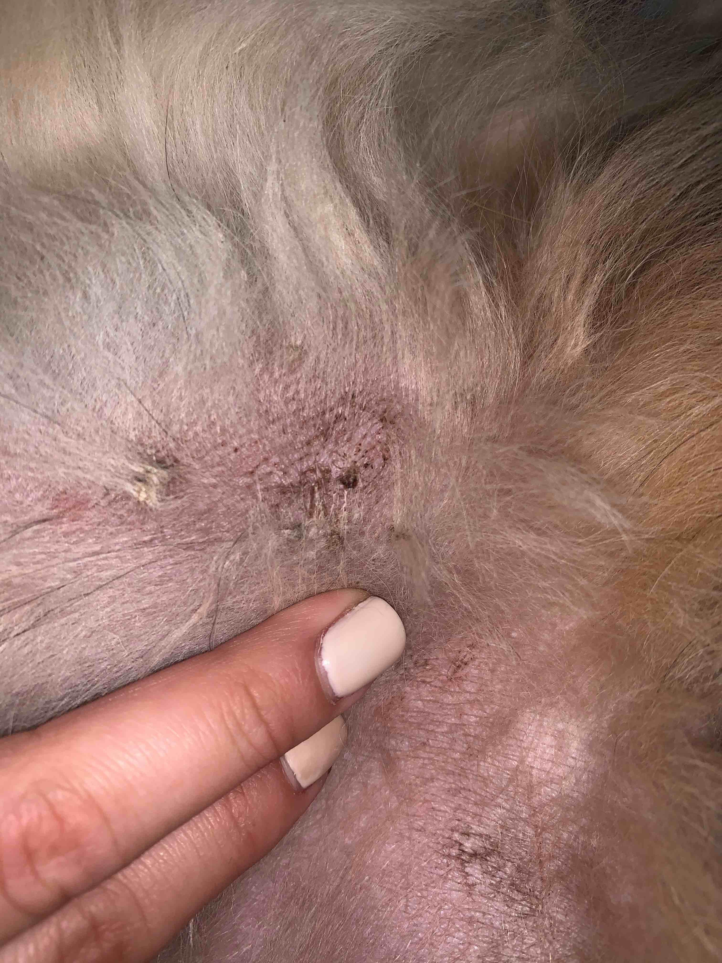 Question details sensitive content