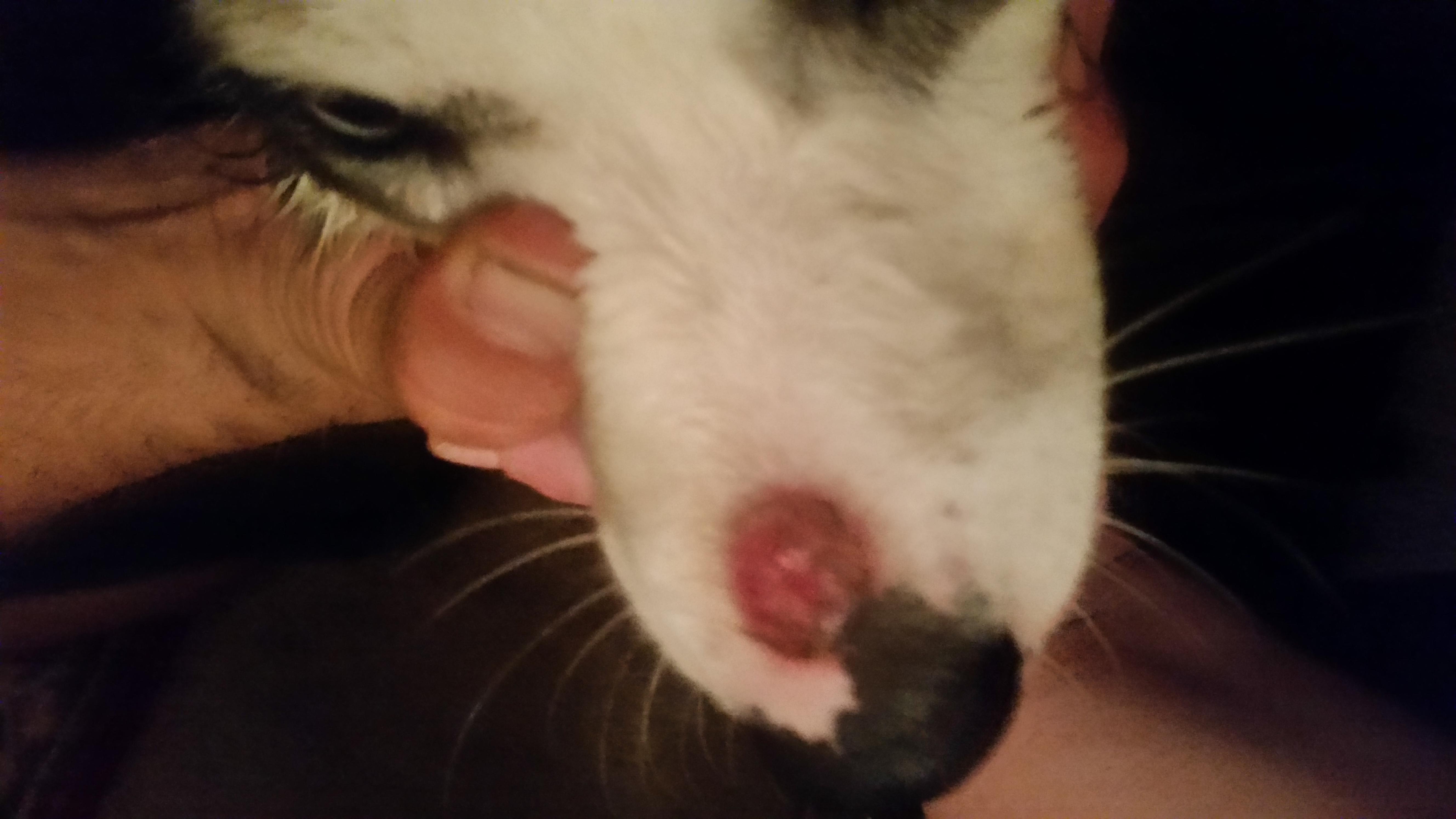 Question details sensitive content