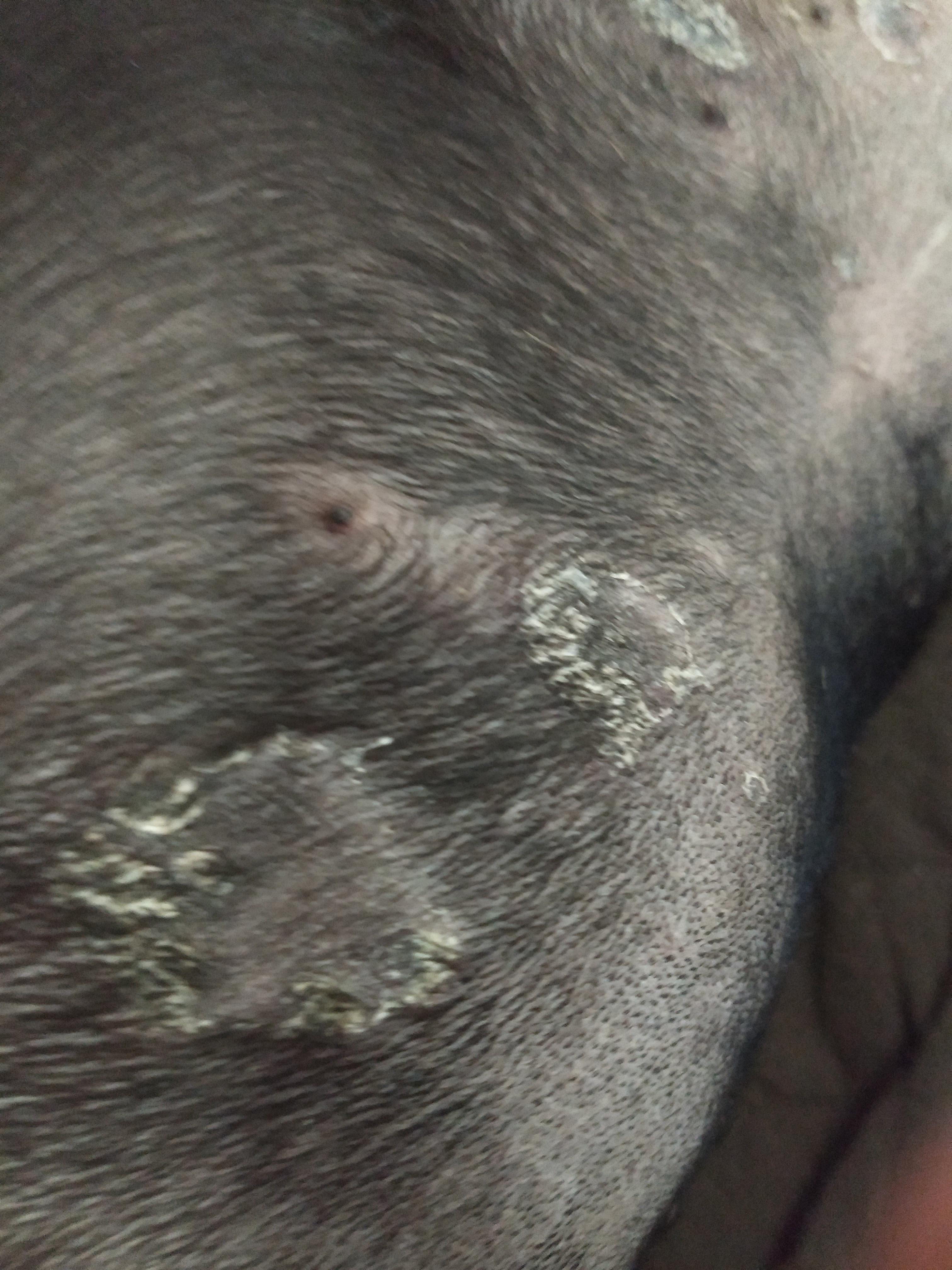 Question details sensitive content