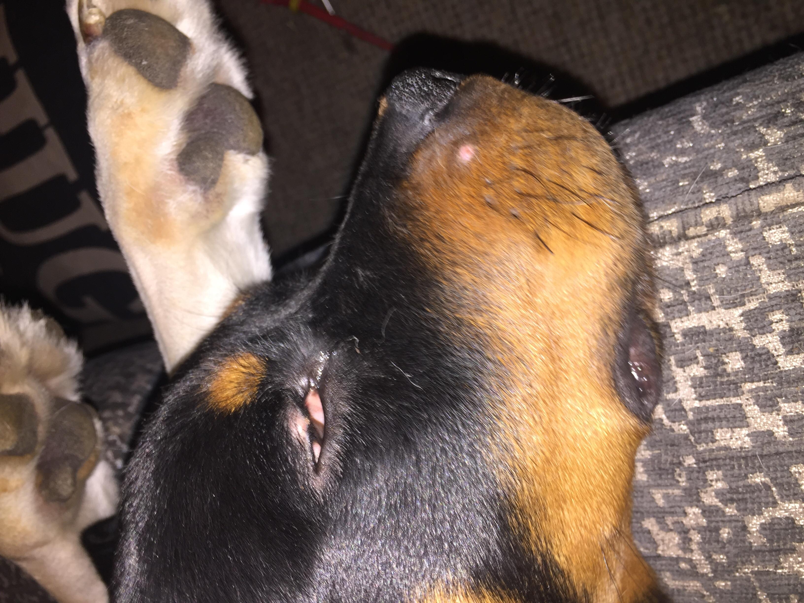 Question details sensitive content