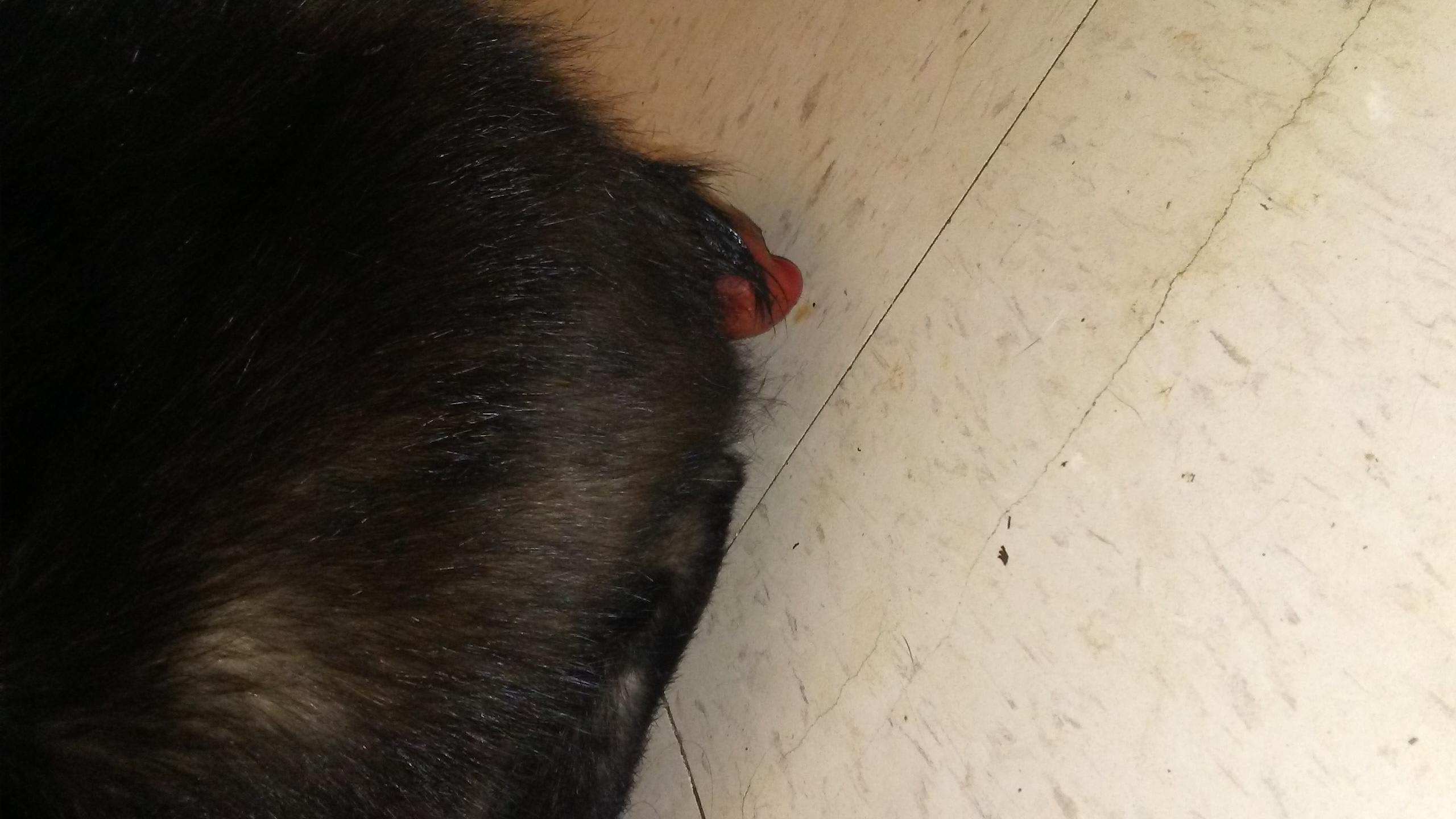 Question details sensitive content