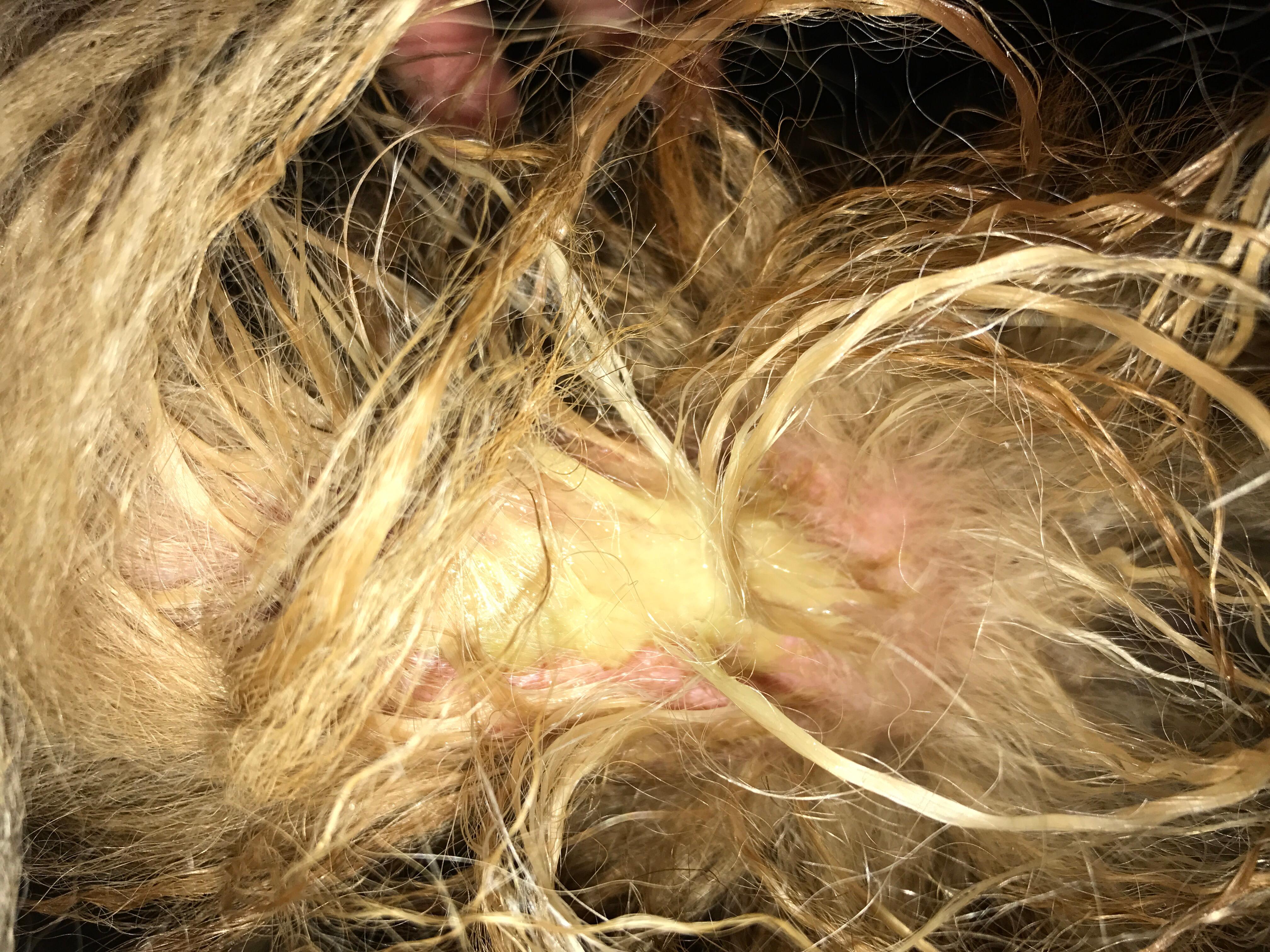 Question details sensitive content