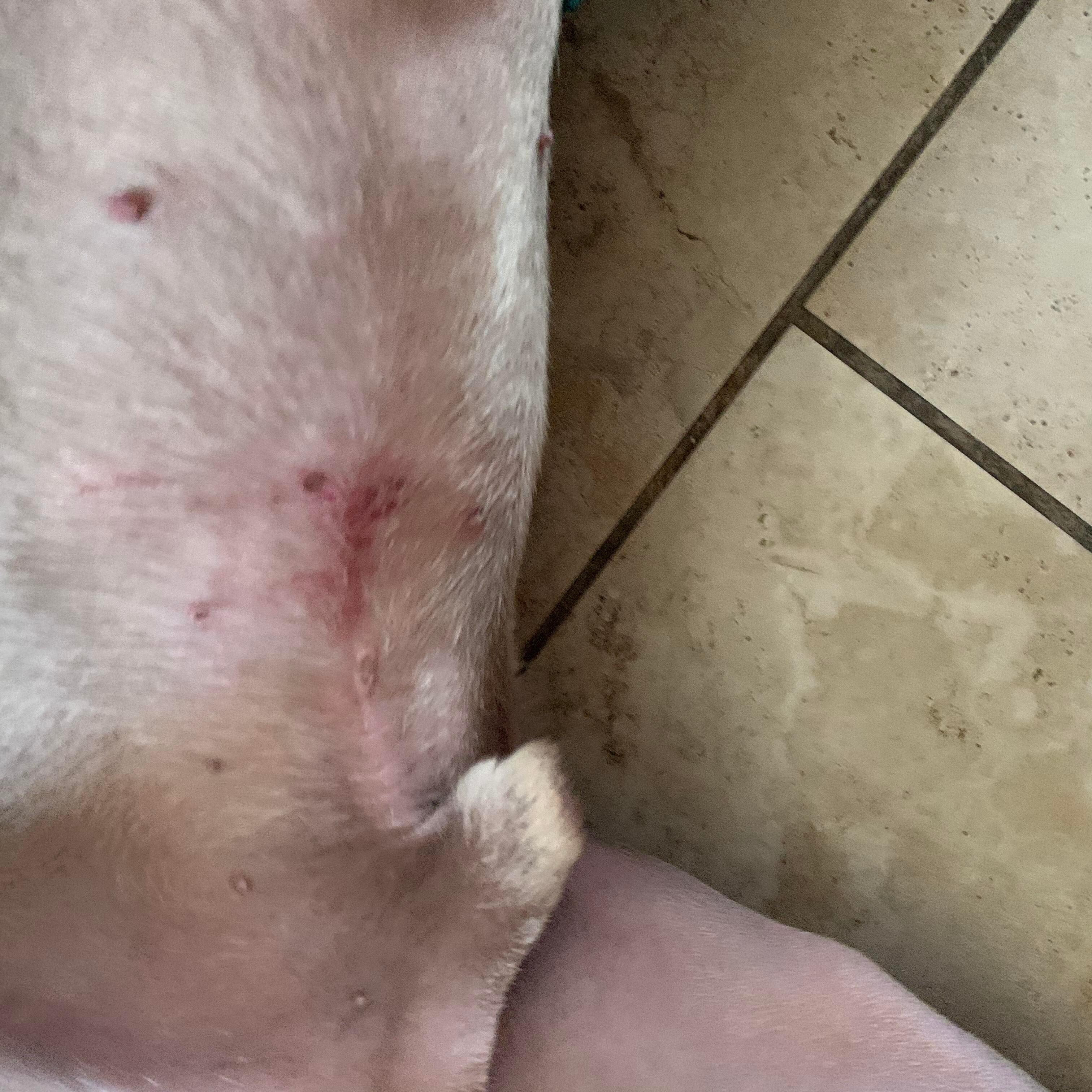 Question details sensitive content