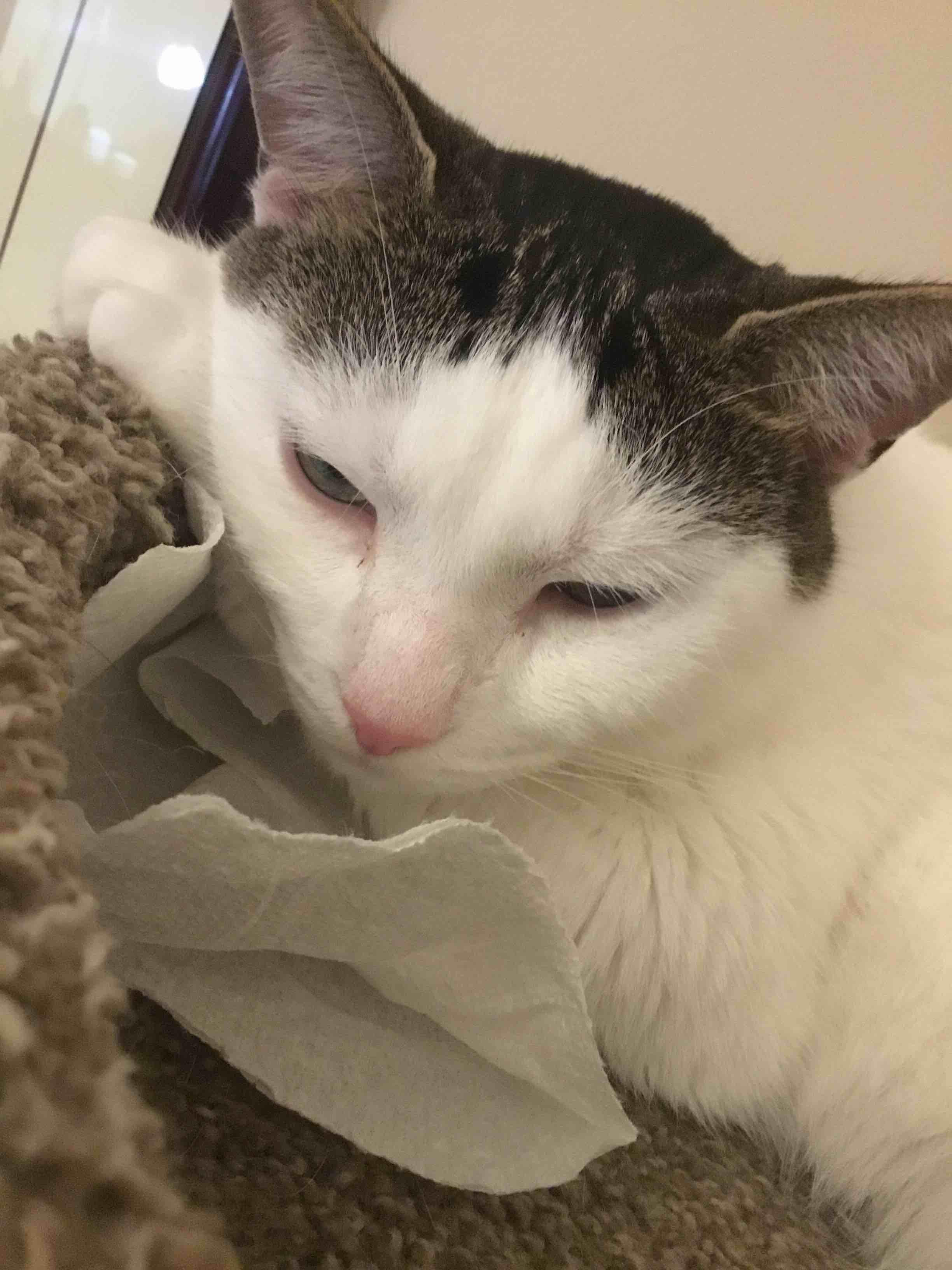 Question details sensitive content