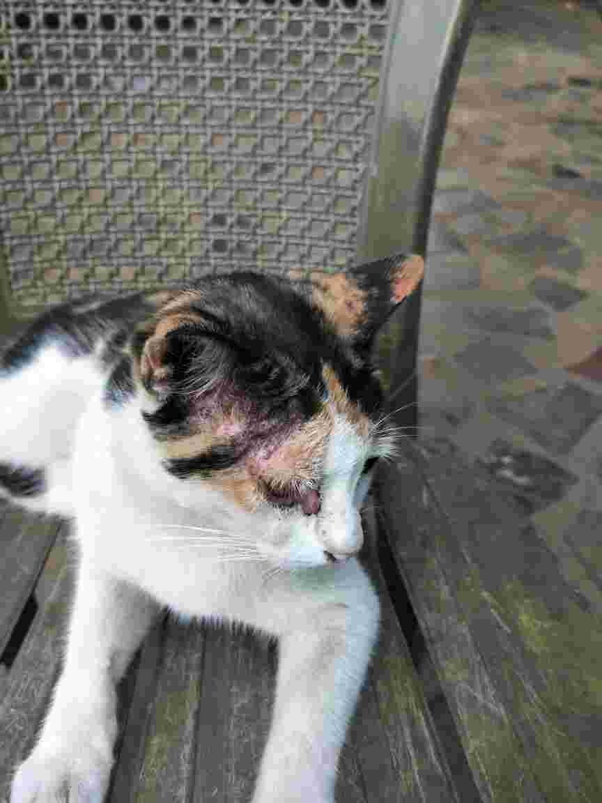 Question details sensitive content