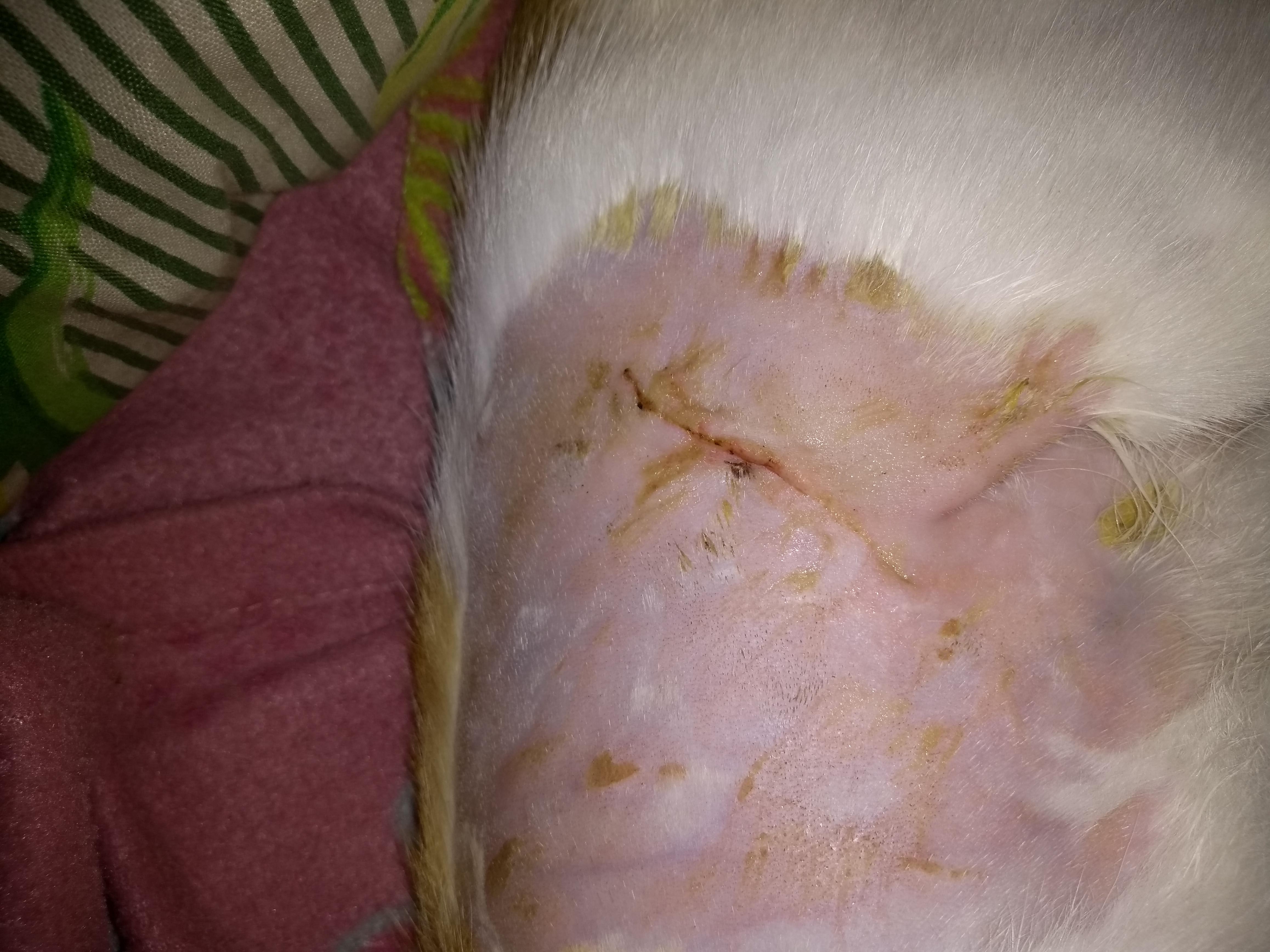 Question details sensitive content