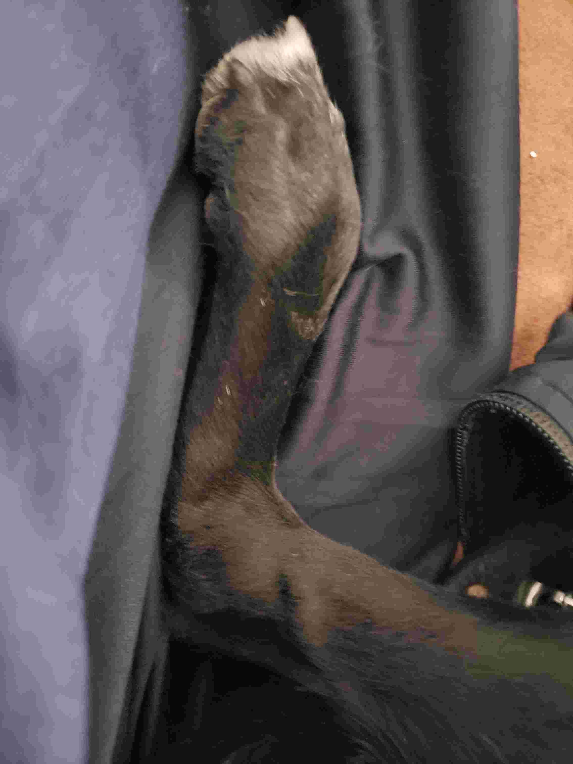 Question details sensitive content