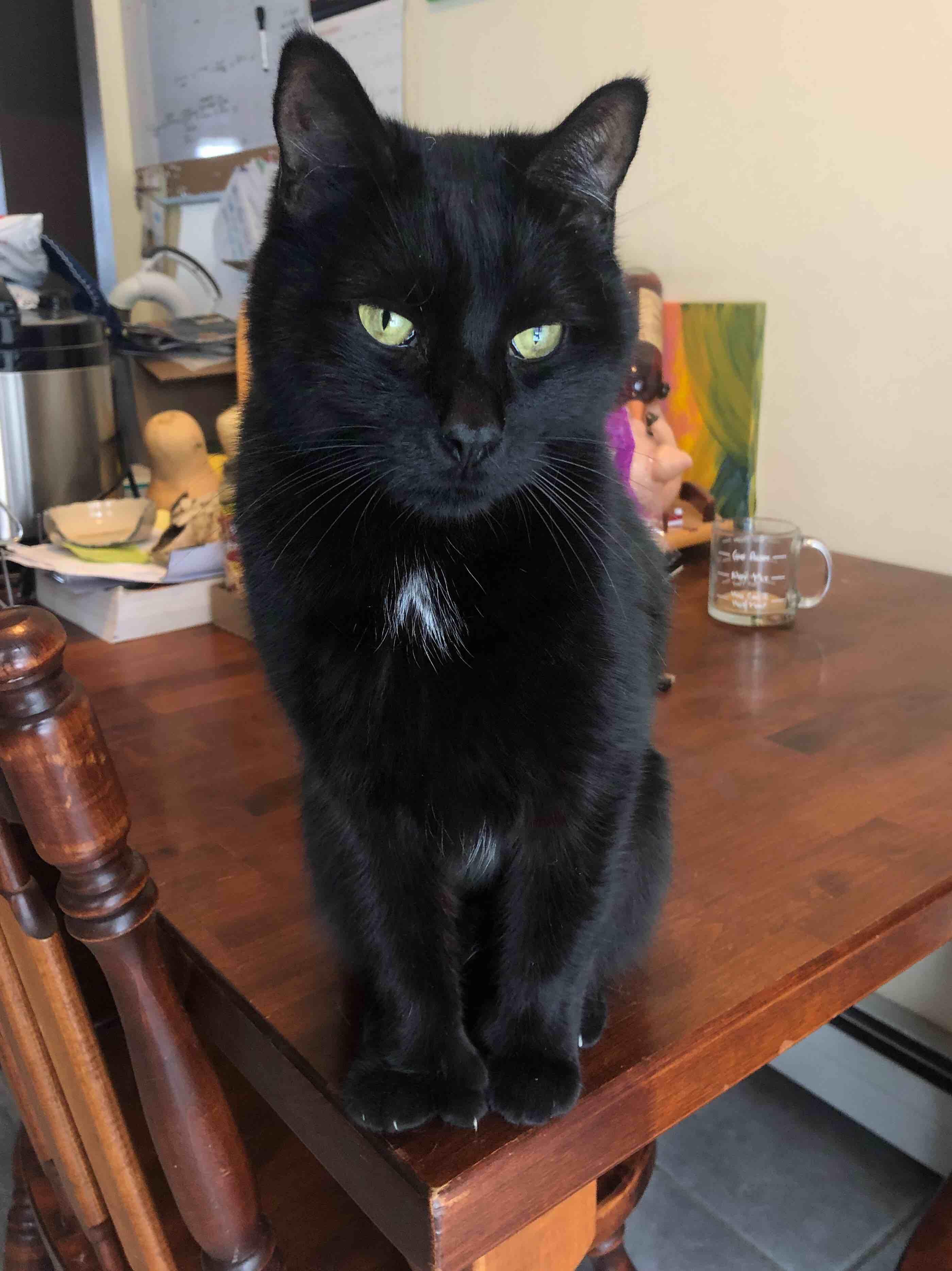 Question details sensitive content