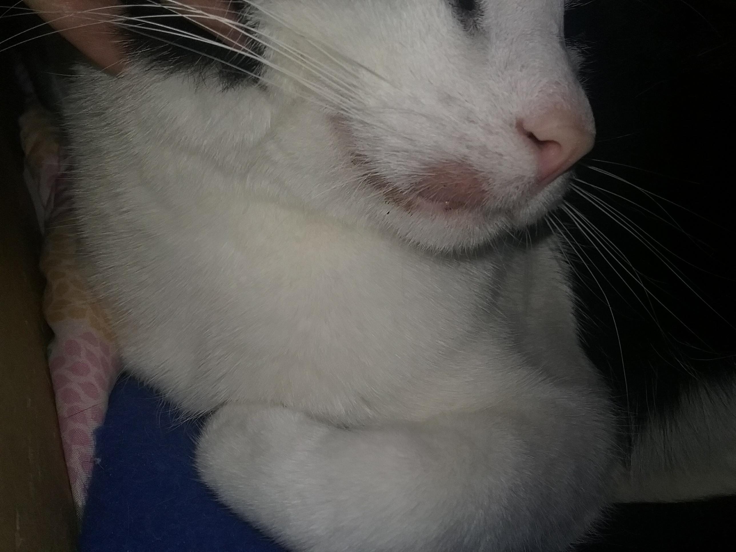 Question details sensitive content