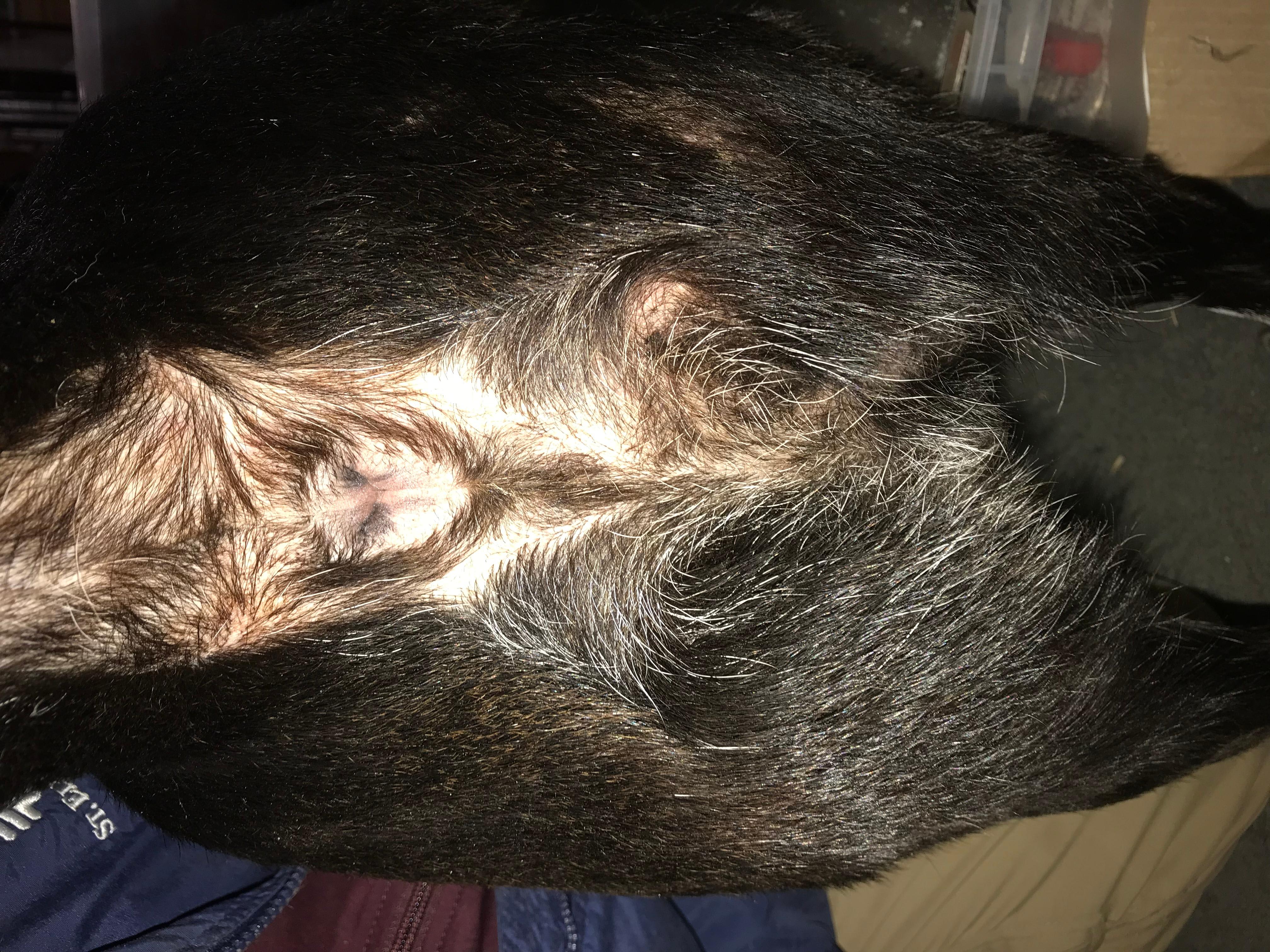 Question details sensitive content