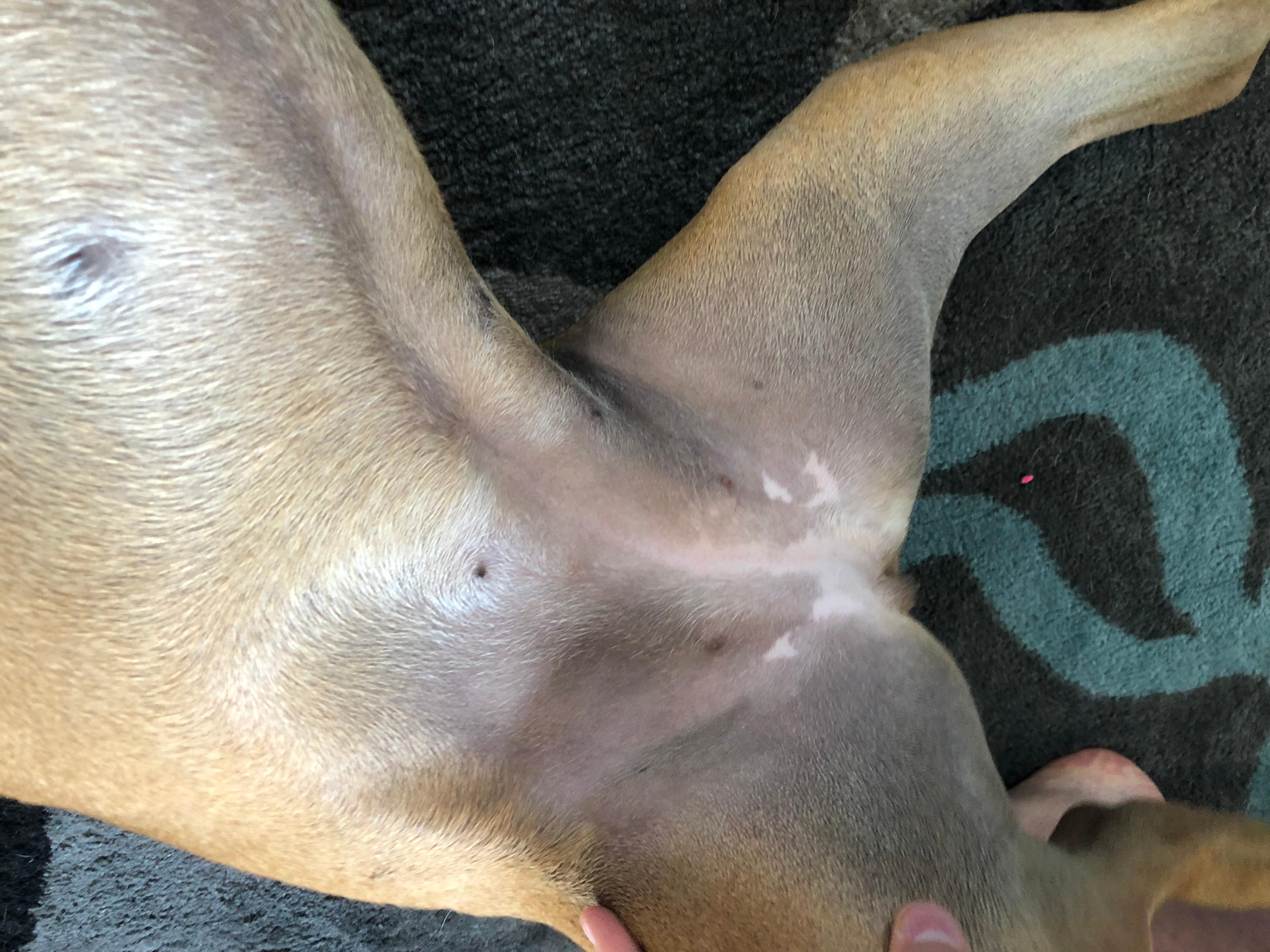 Question details sensitive content