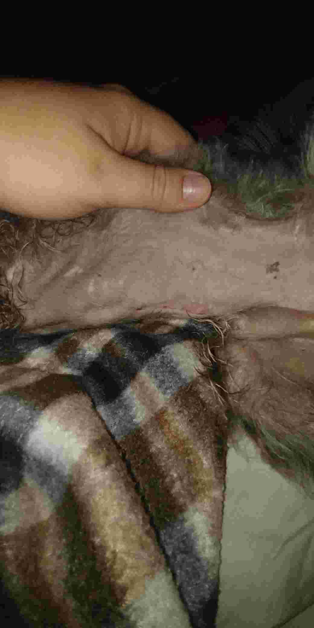 Question details sensitive content