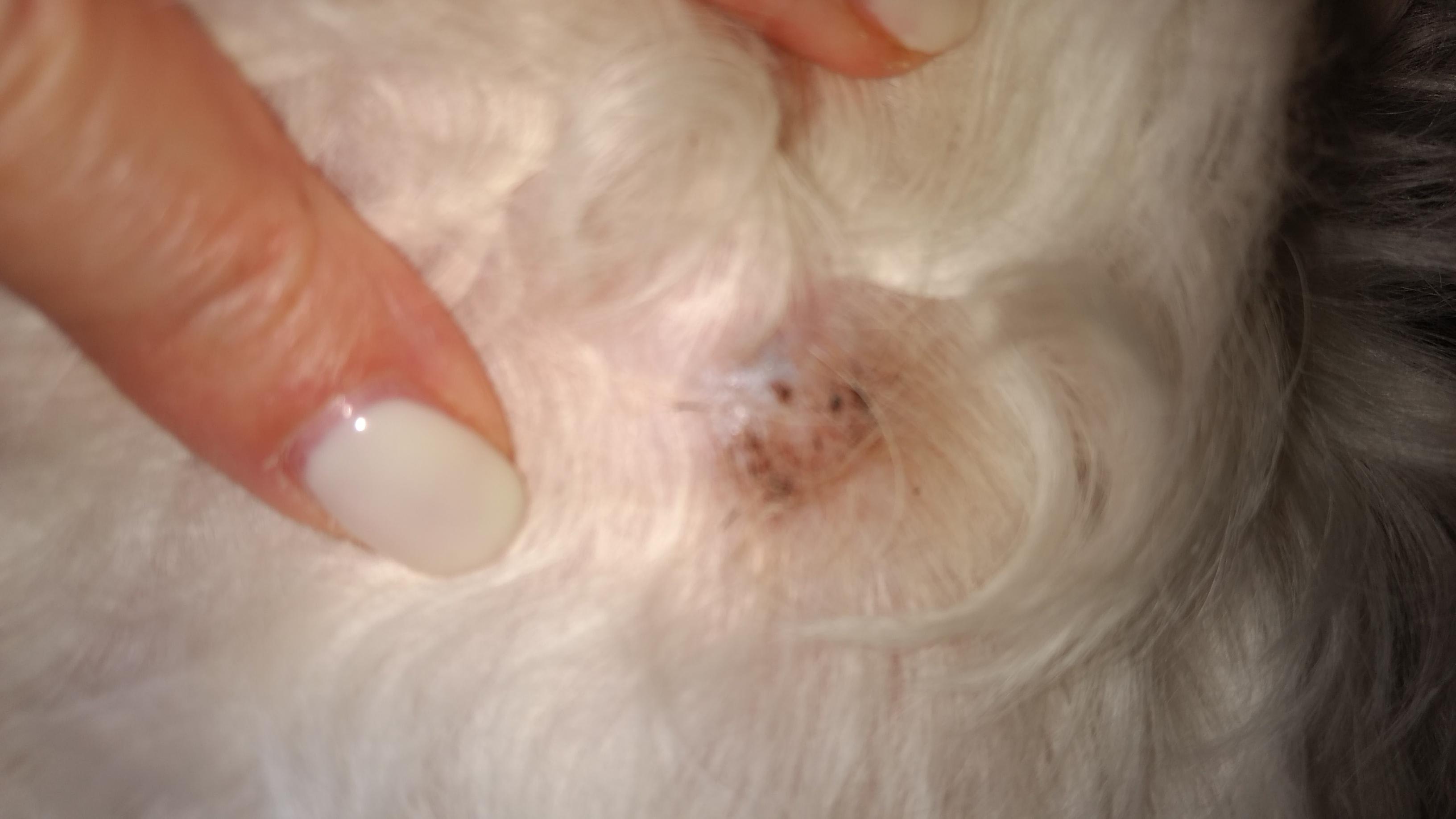 Question details sensitive content