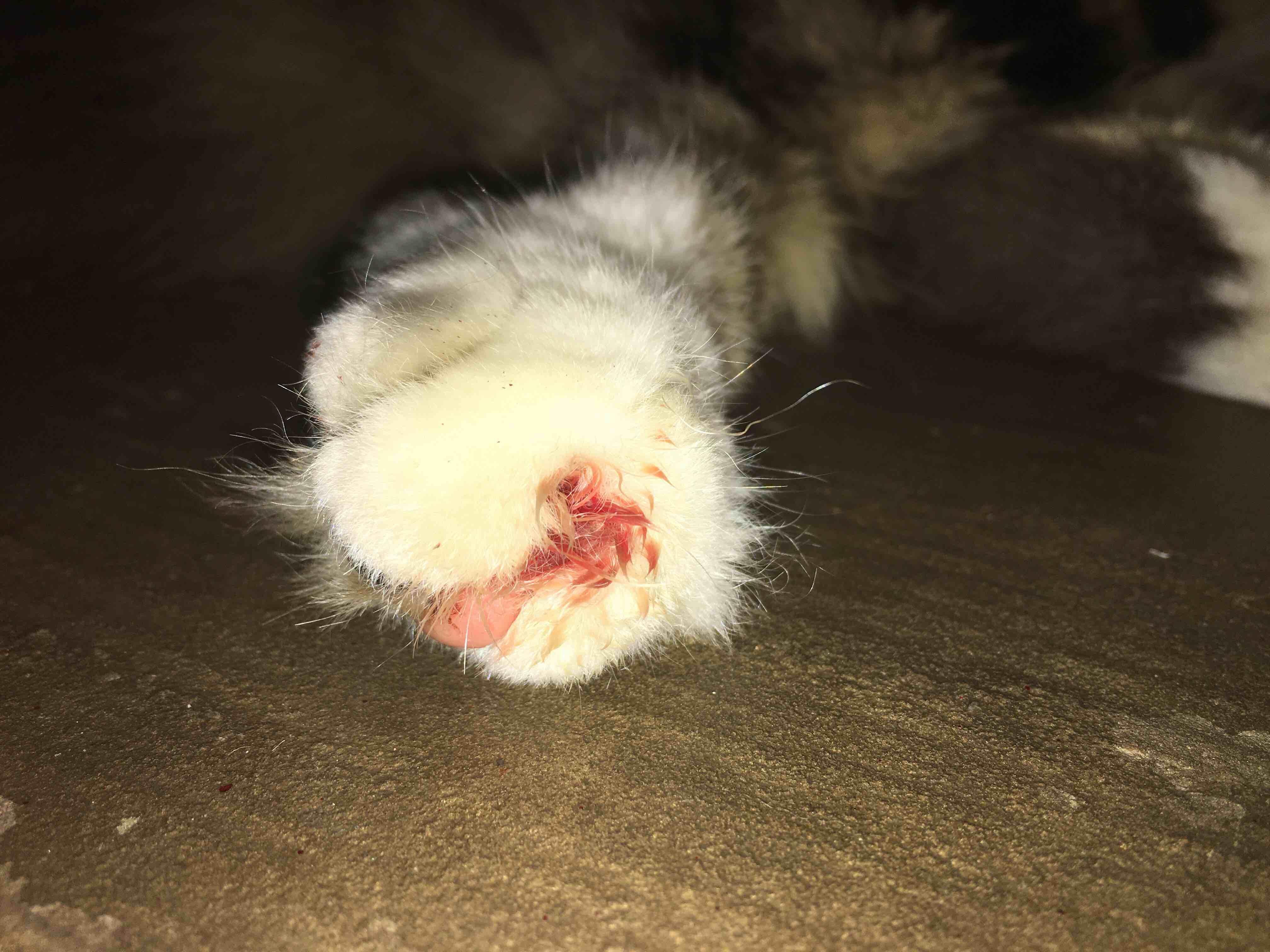 Question details sensitive content