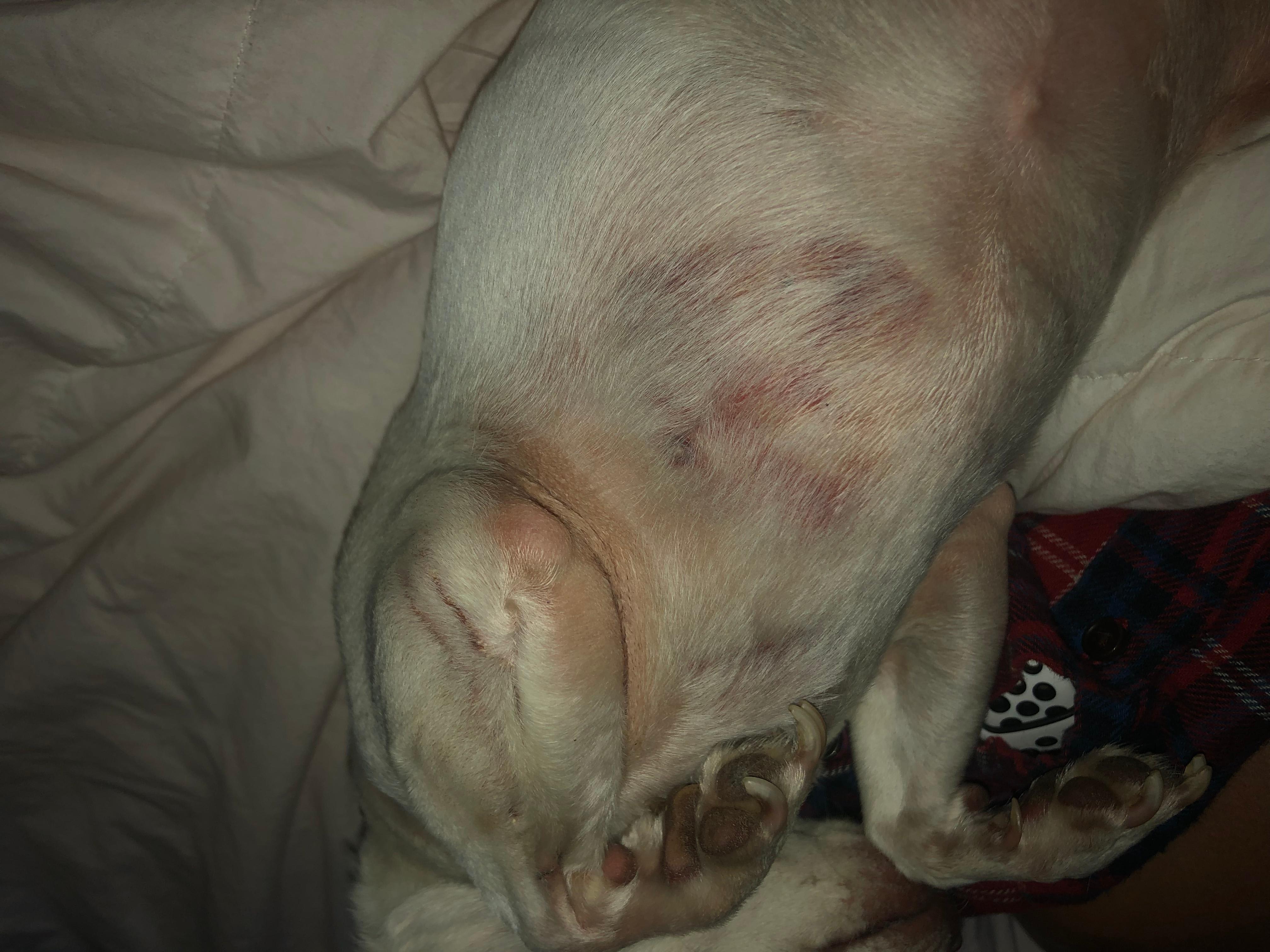 Question details sensitive content