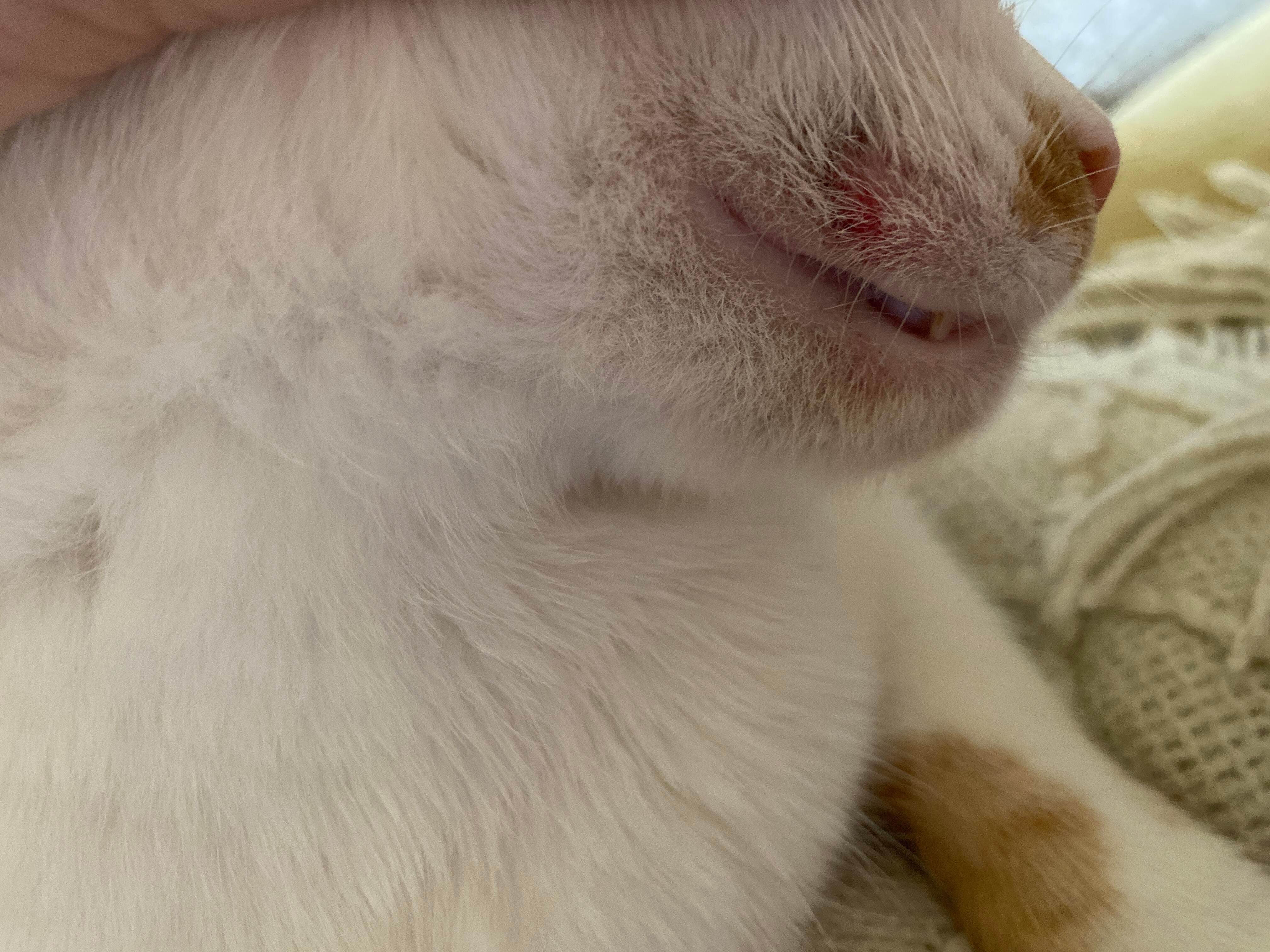 Question details sensitive content