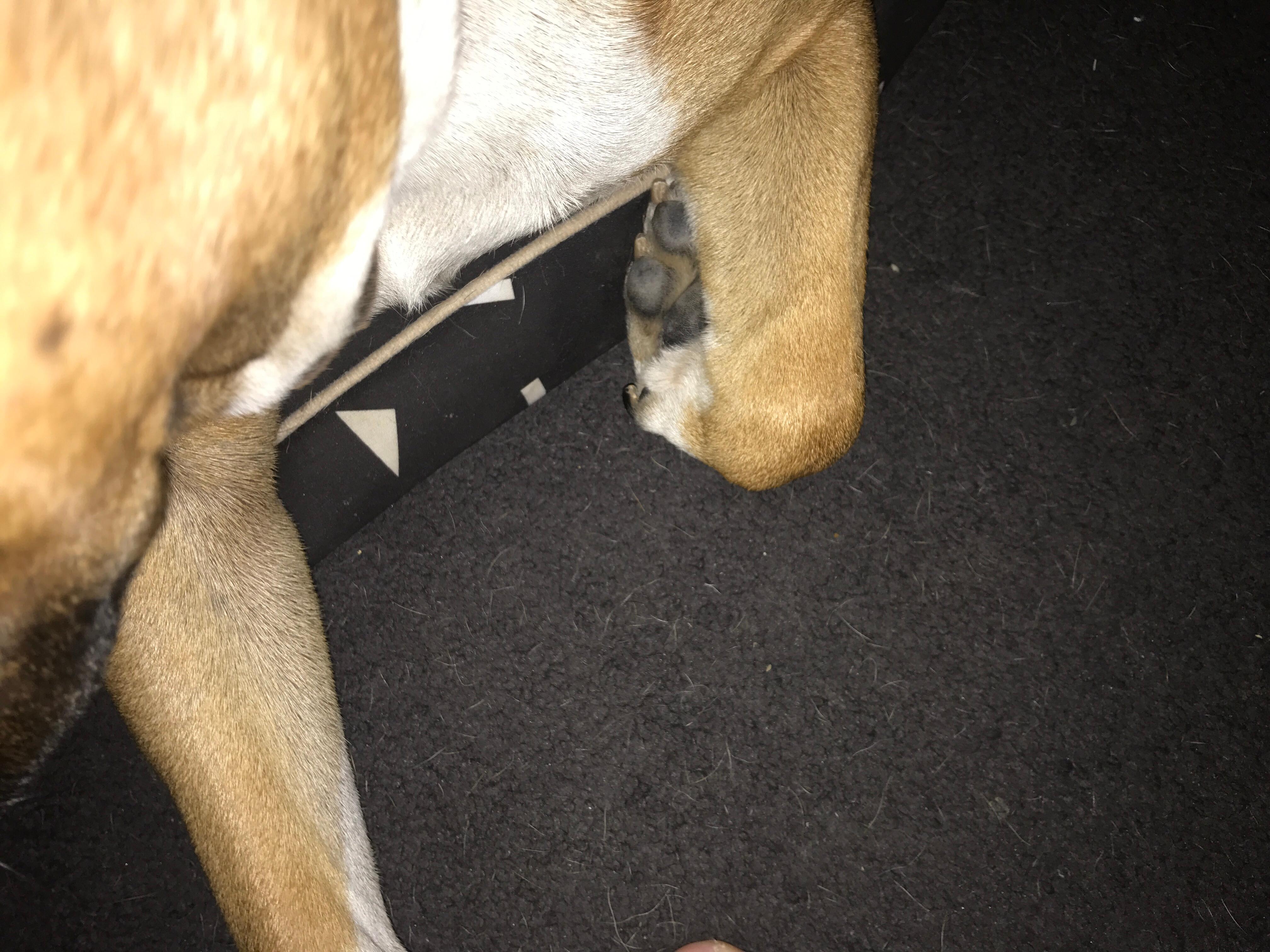 Question details sensitive content