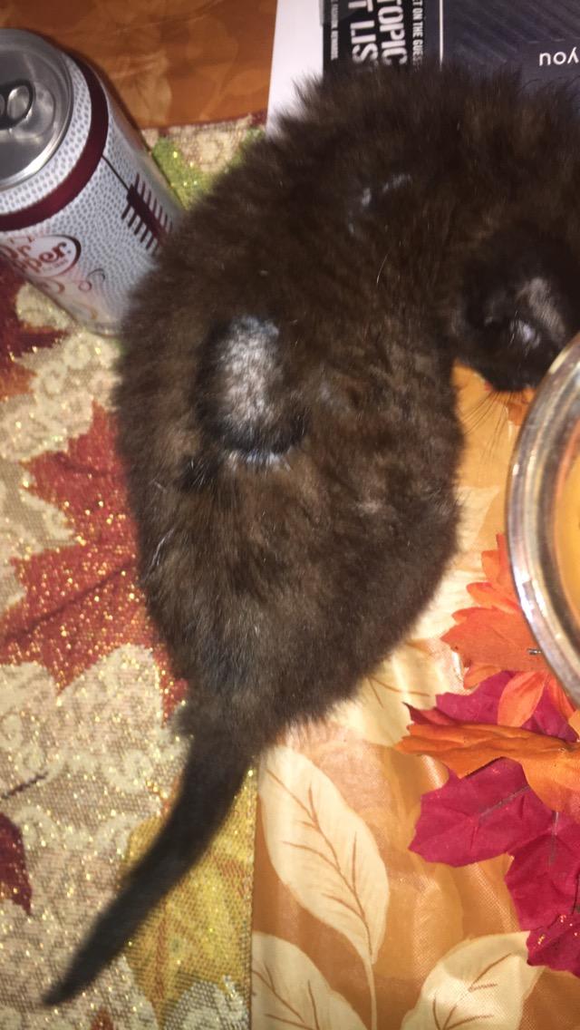 Question details sensitive content