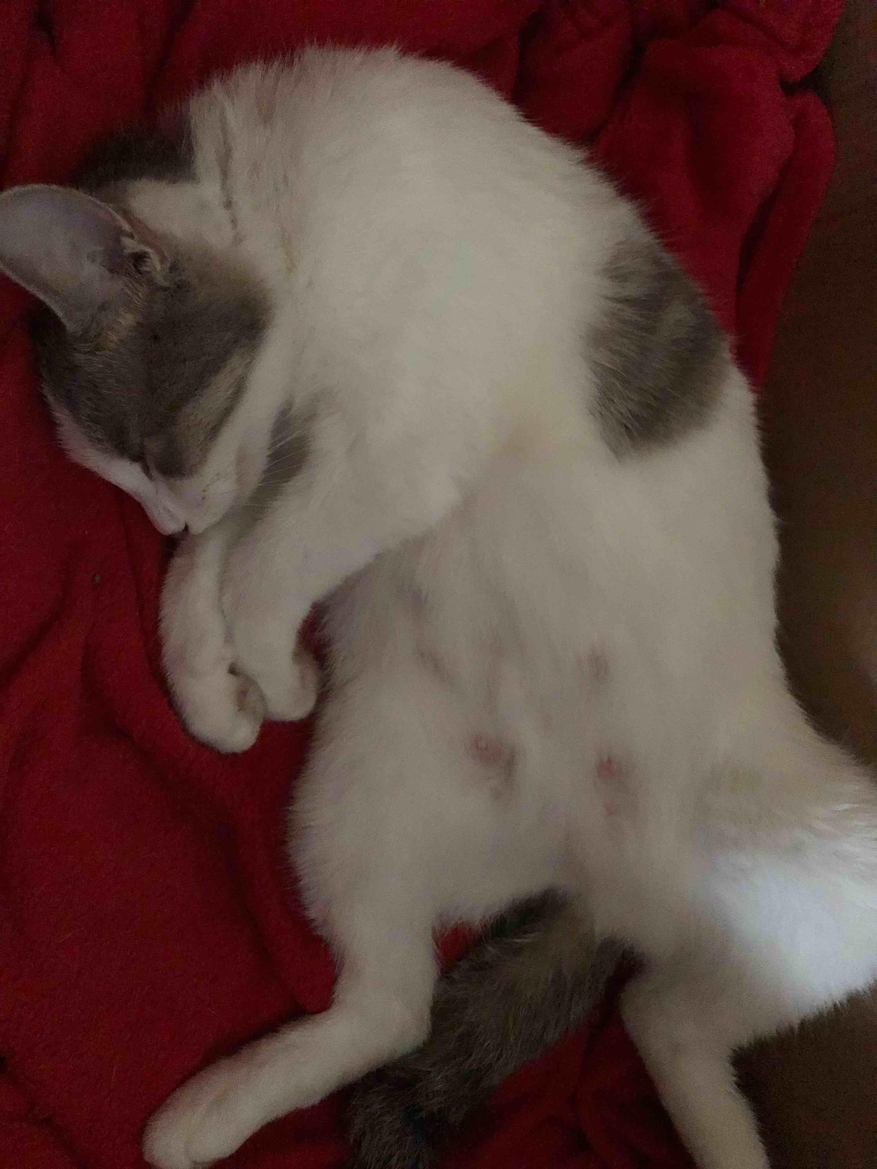 Question details sensitive content