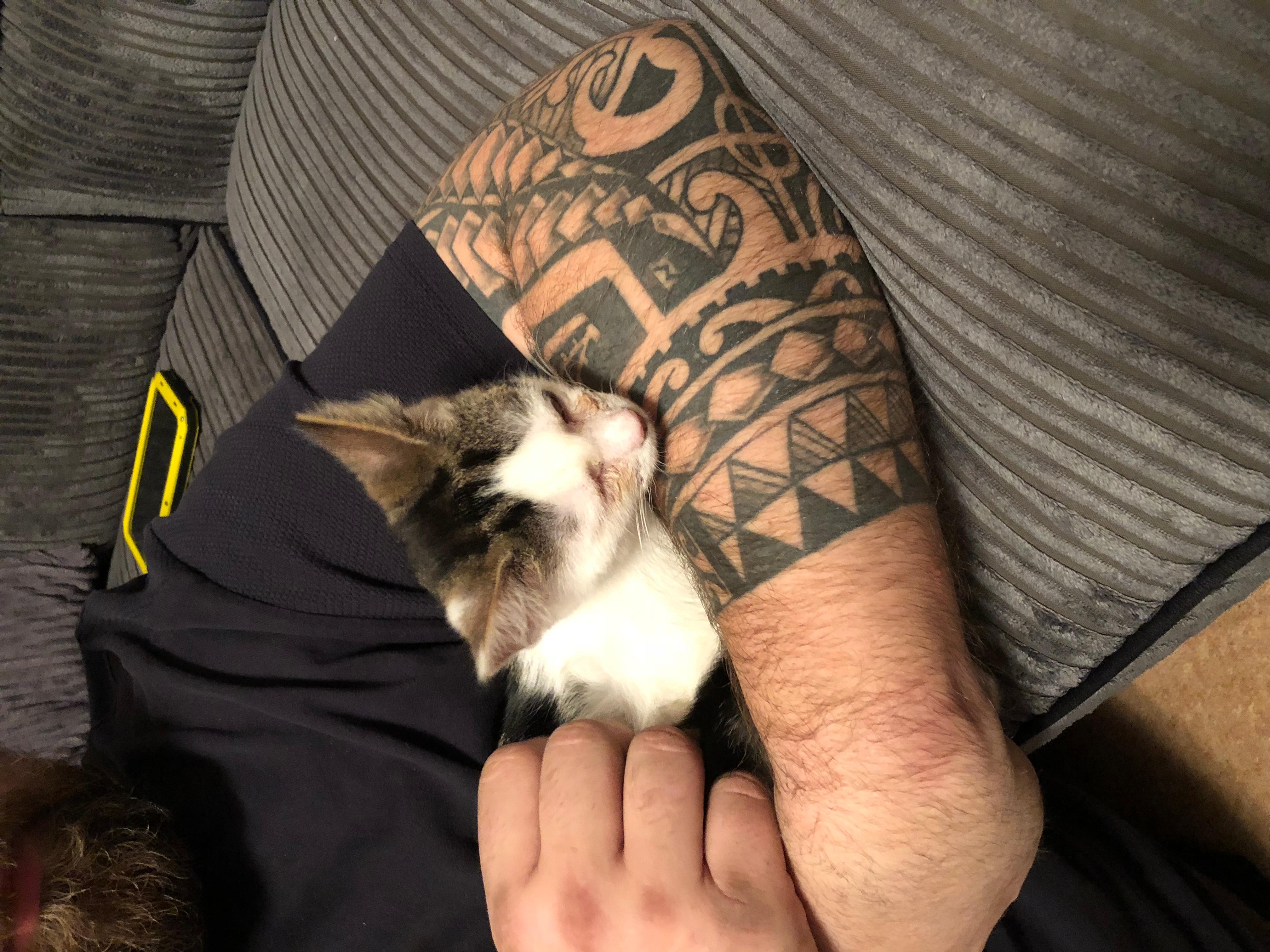 Question details sensitive content