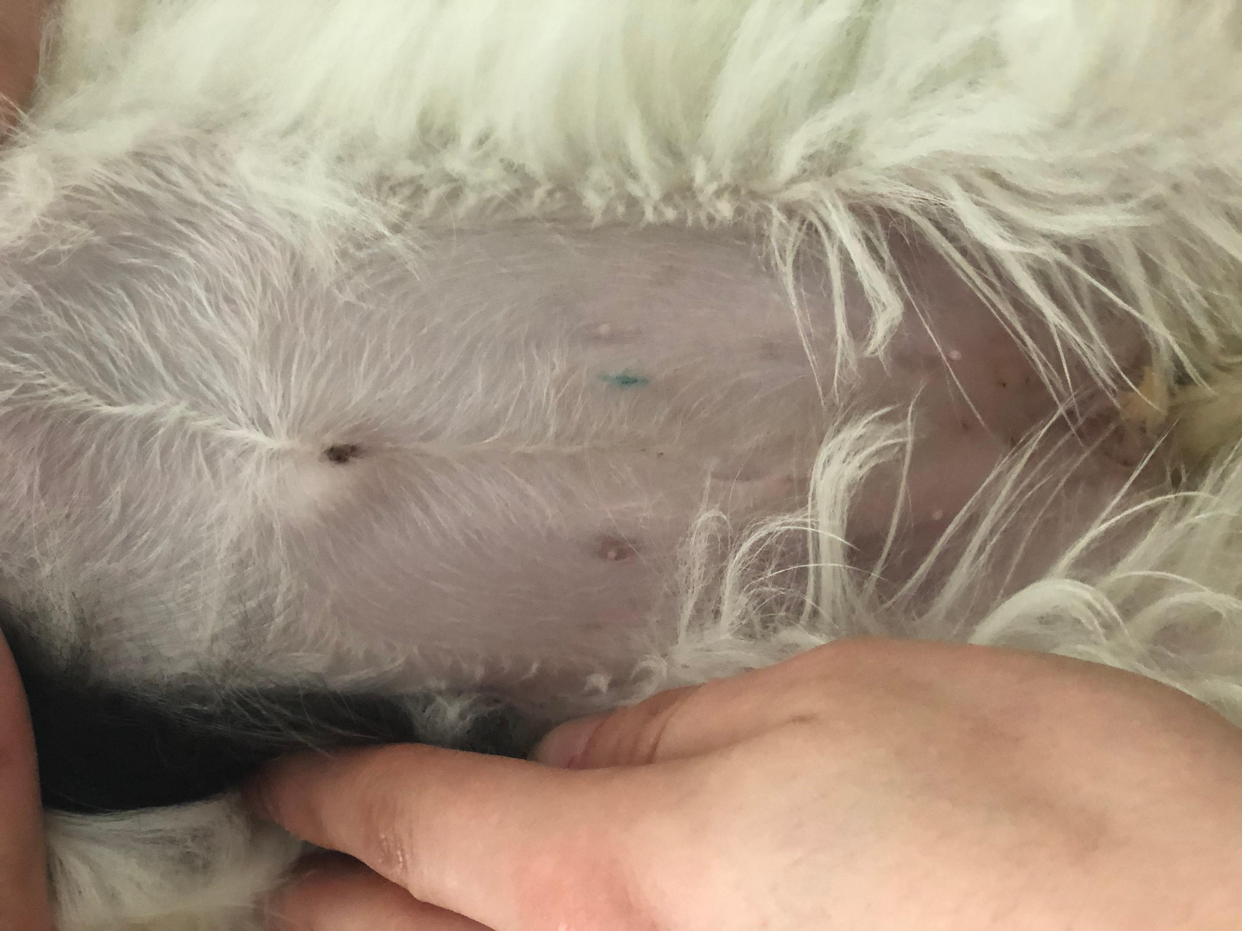 Question details sensitive content