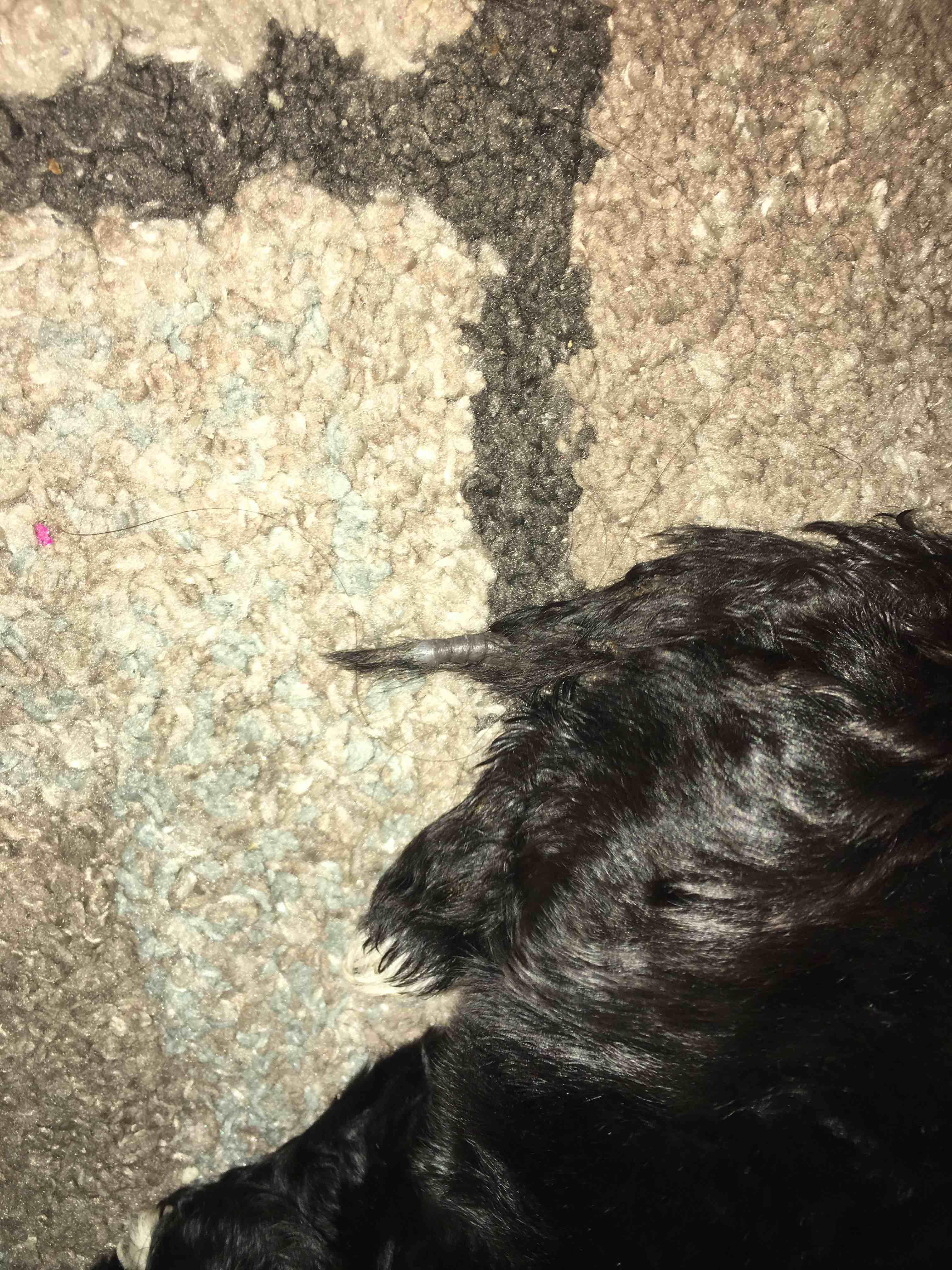 Question details sensitive content